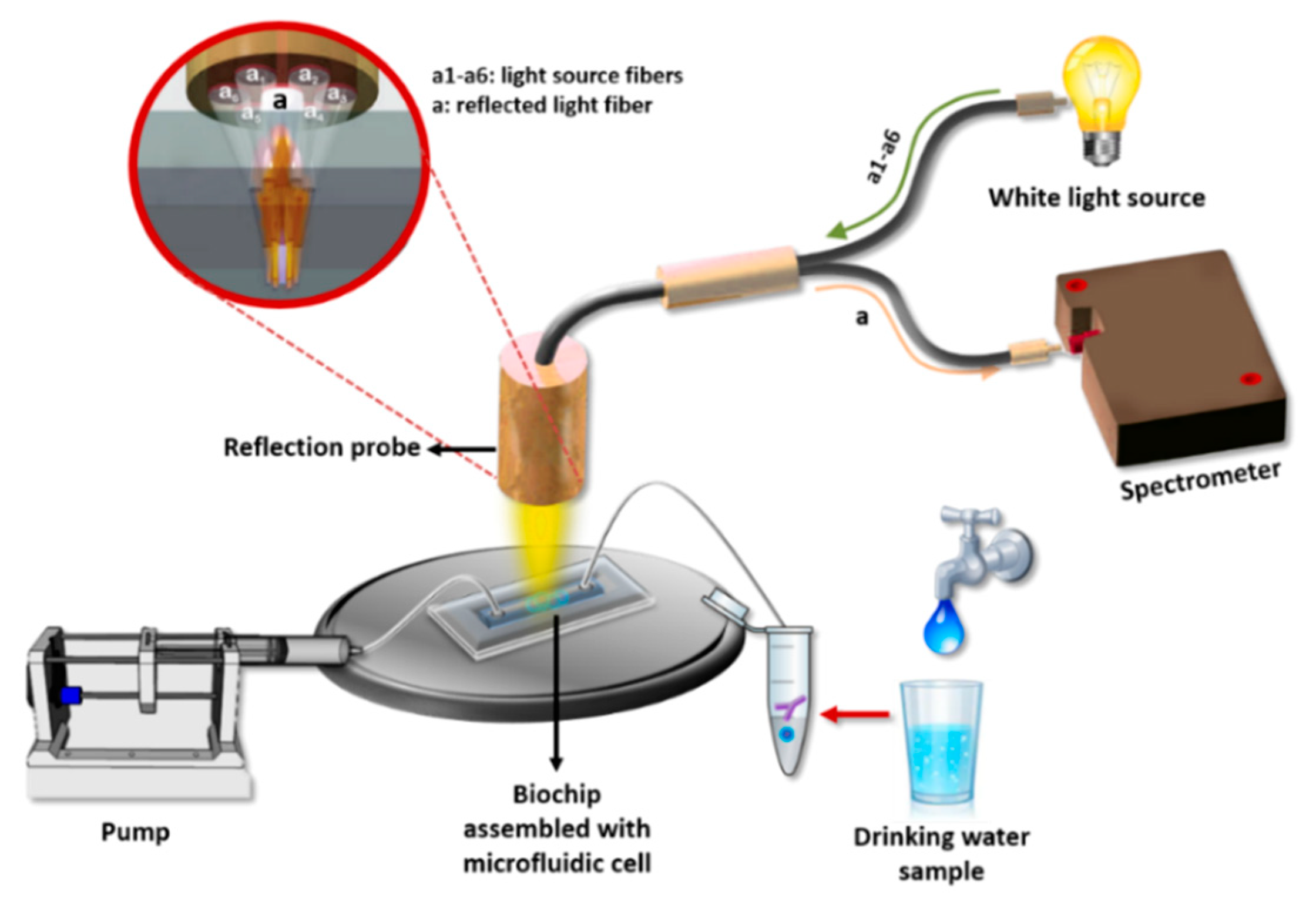 Sensors 21 02683 g001