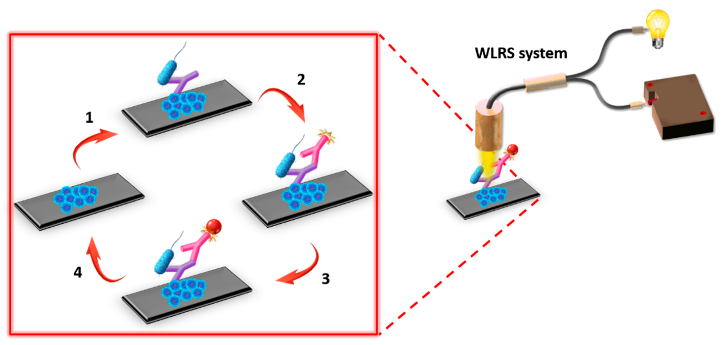 Sensors 21 02683 g002