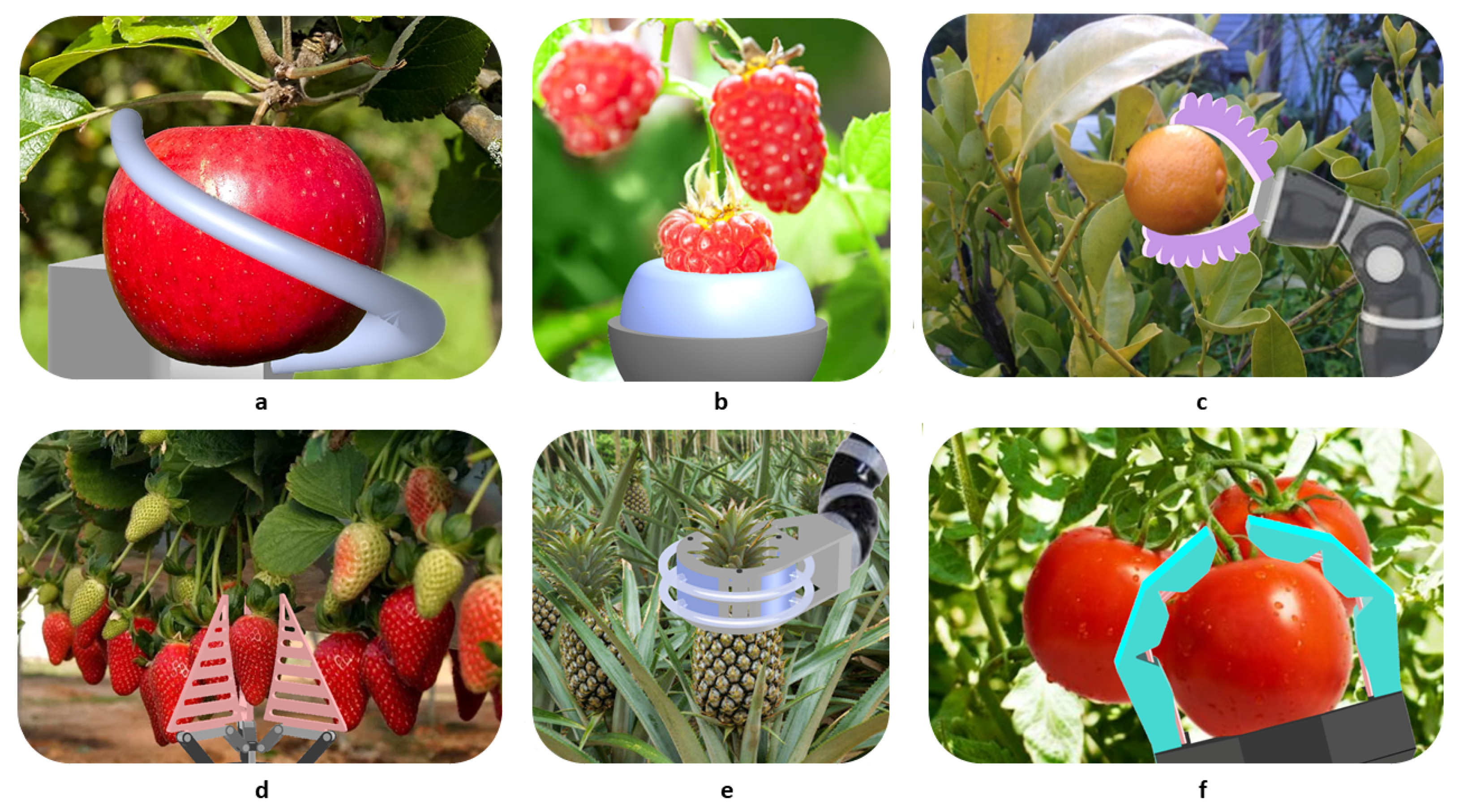 Sensors 21 02689 g006 Sensors 21 02689 g006