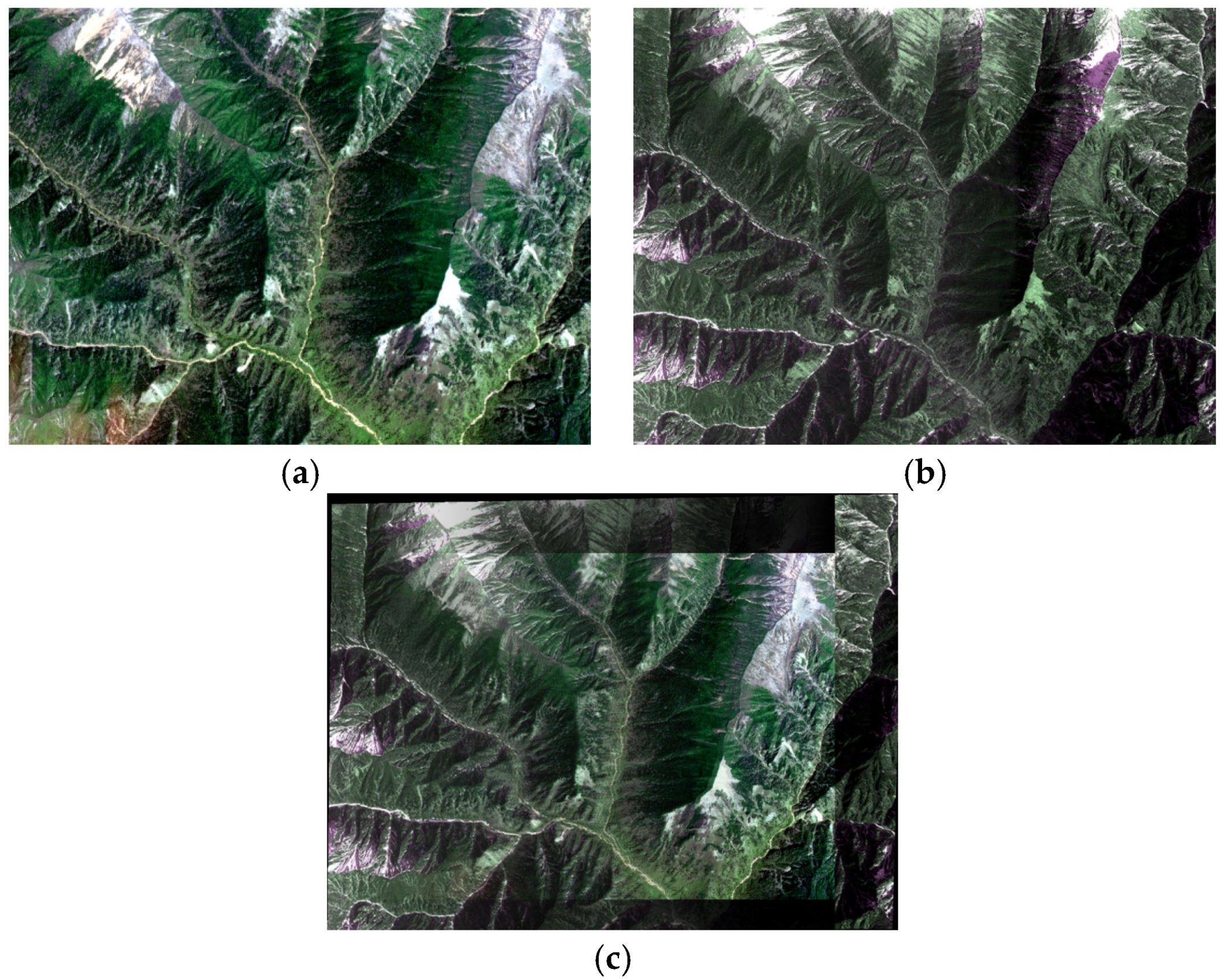 Sensors 21 02695 g011