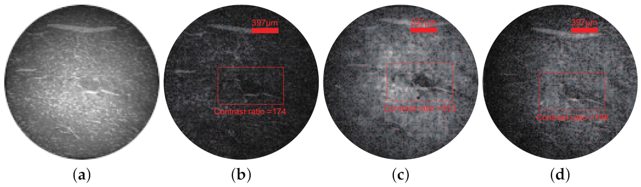 Sensors 21 02721 g005
