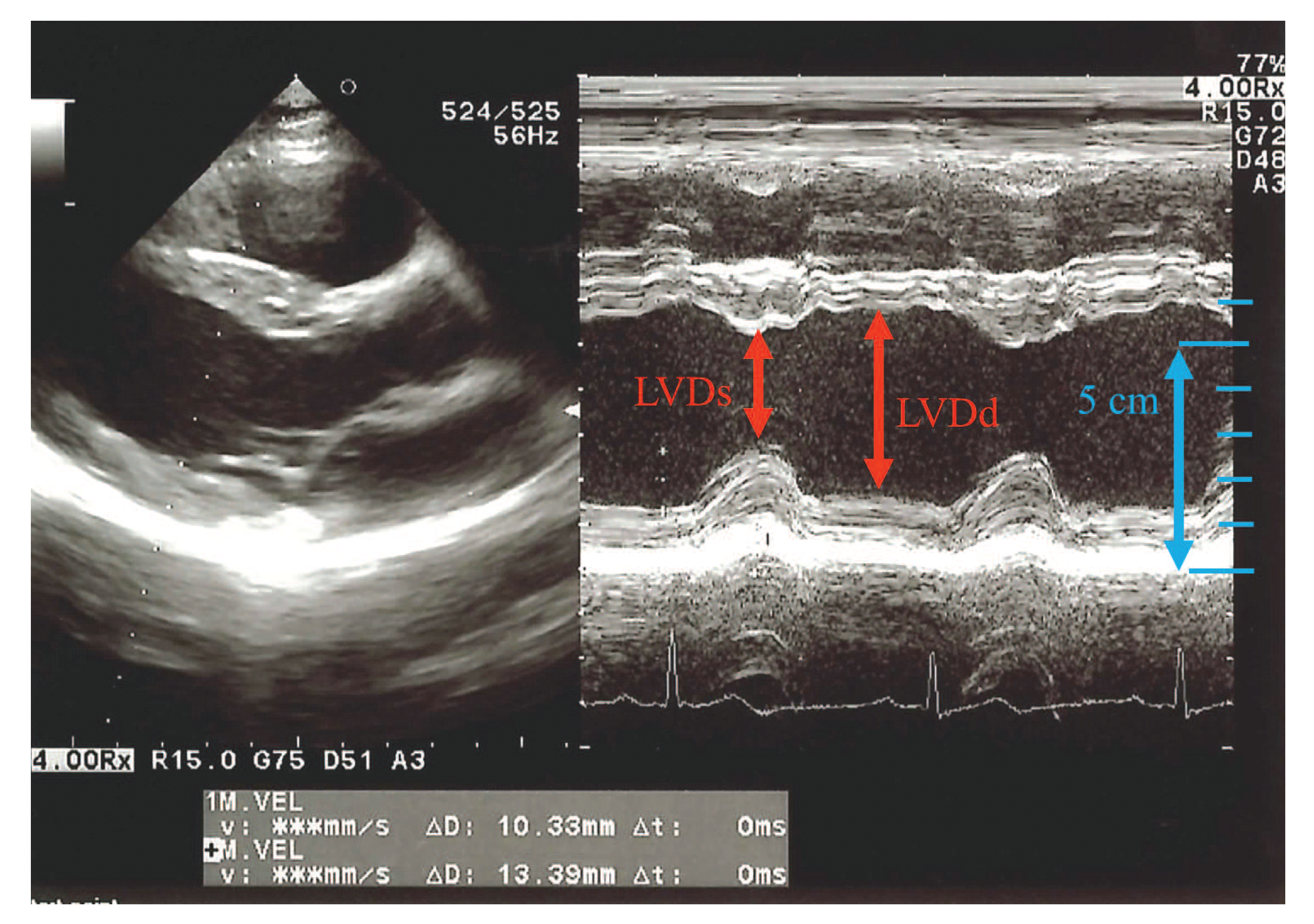 Sensors 21 02735 g001