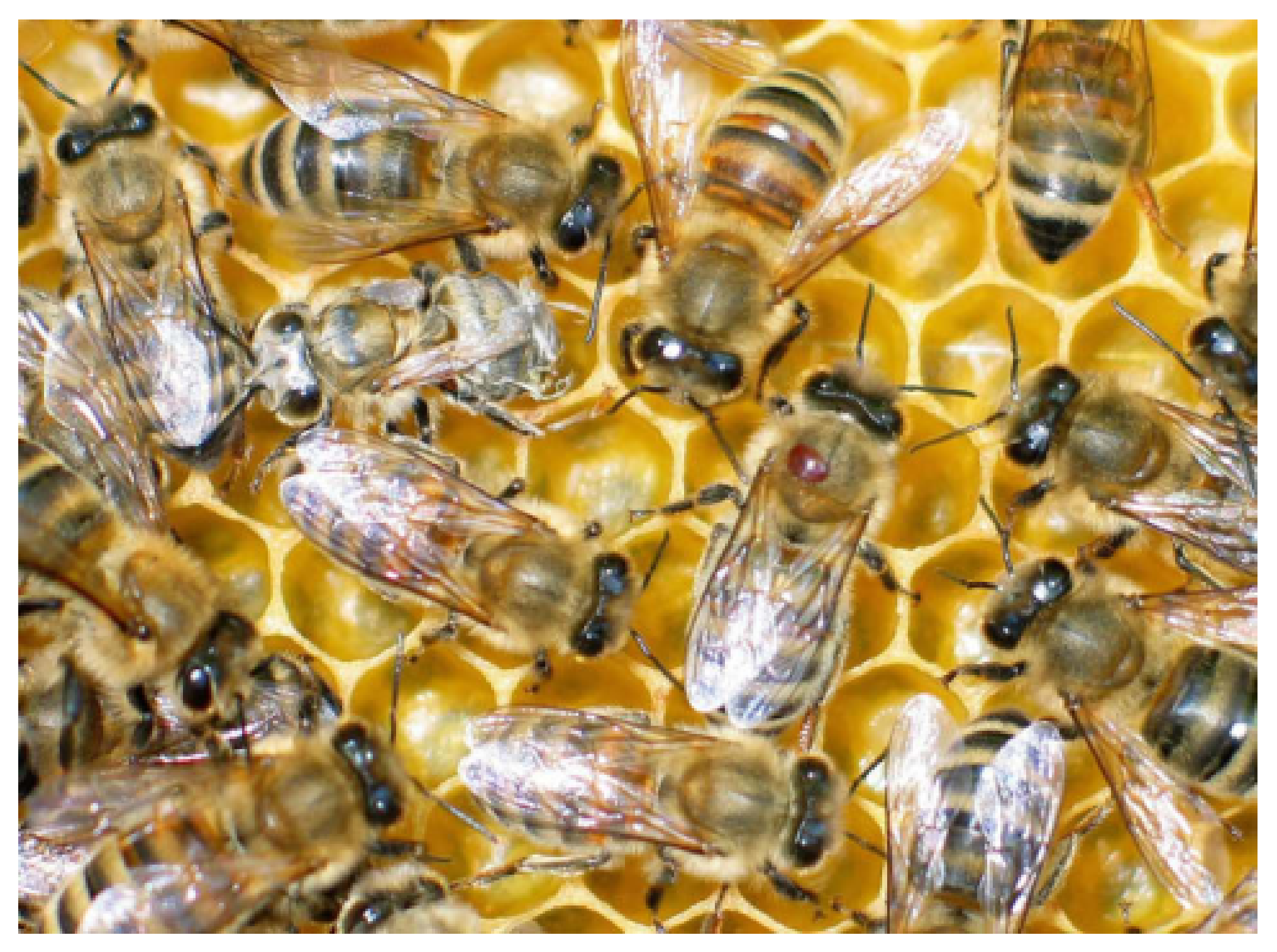 Sensors 21 02764 g001