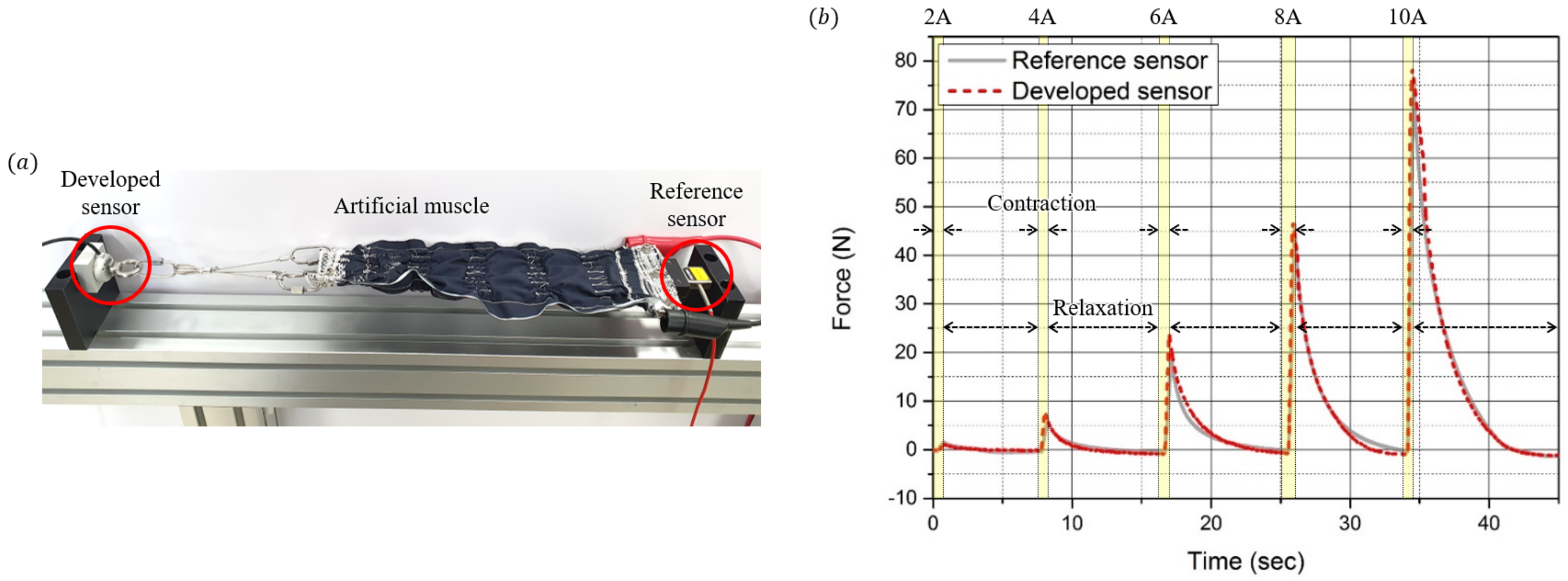 Sensors 21 02770 g016
