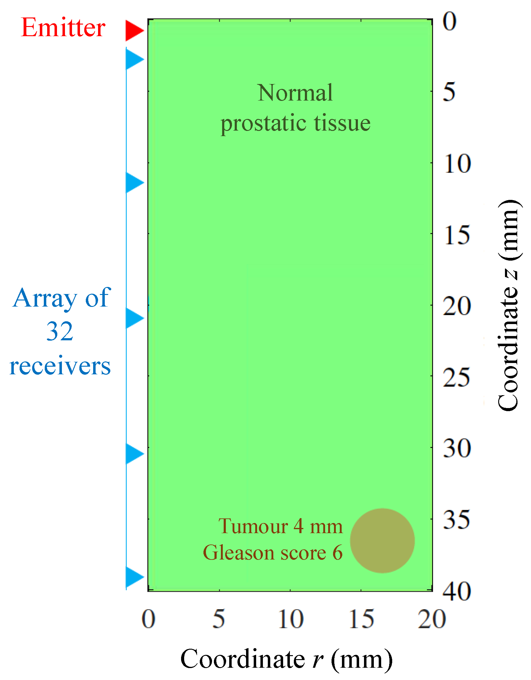 Sensors 21 02778 g006