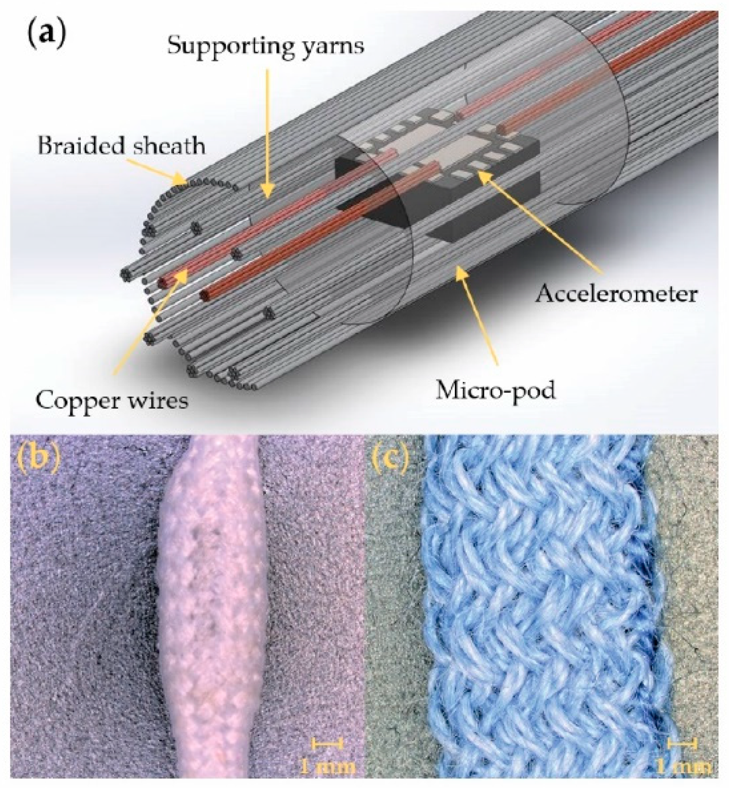 Sensors 21 02780 g001
