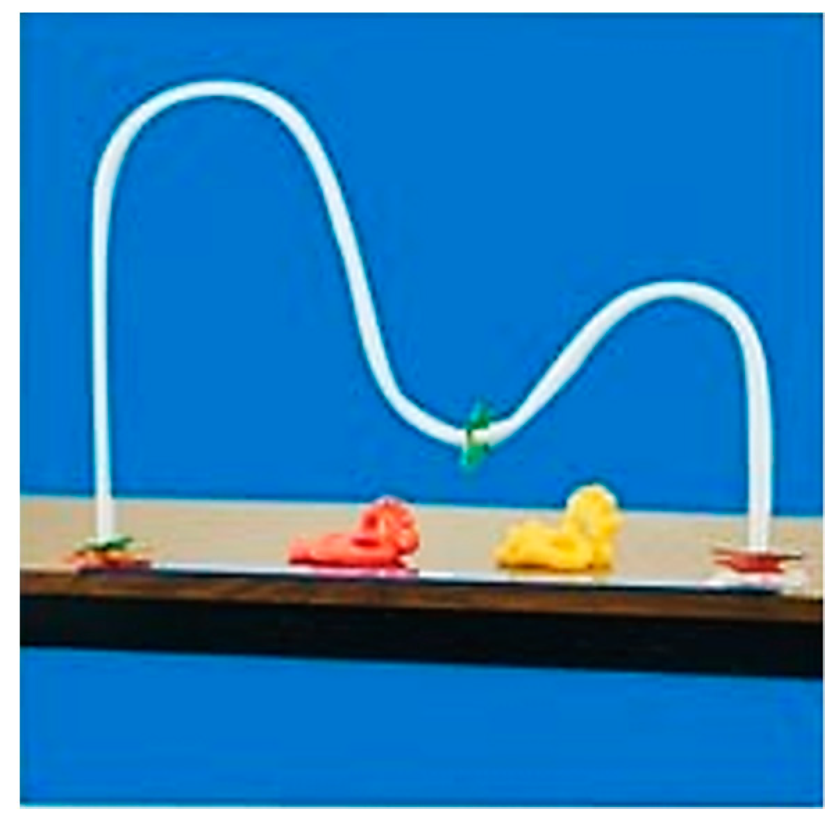 Sensors 21 02790 g001