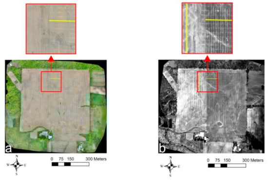 Sensors 21 02800 g005a Sensors 21 02800 g005a