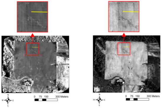 Sensors 21 02800 g005b