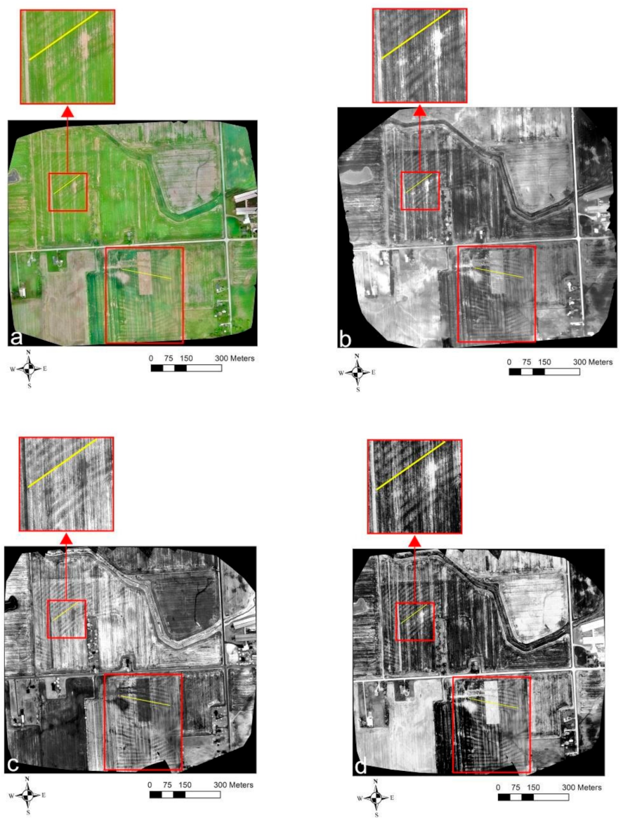 Sensors 21 02800 g006