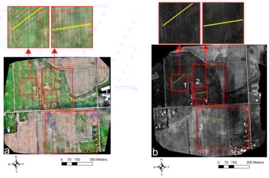 Sensors 21 02800 g007