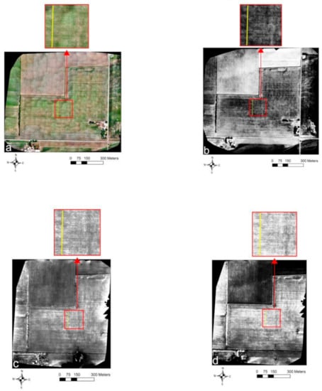 Sensors 21 02800 g008