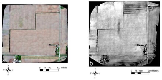 Sensors 21 02800 g009