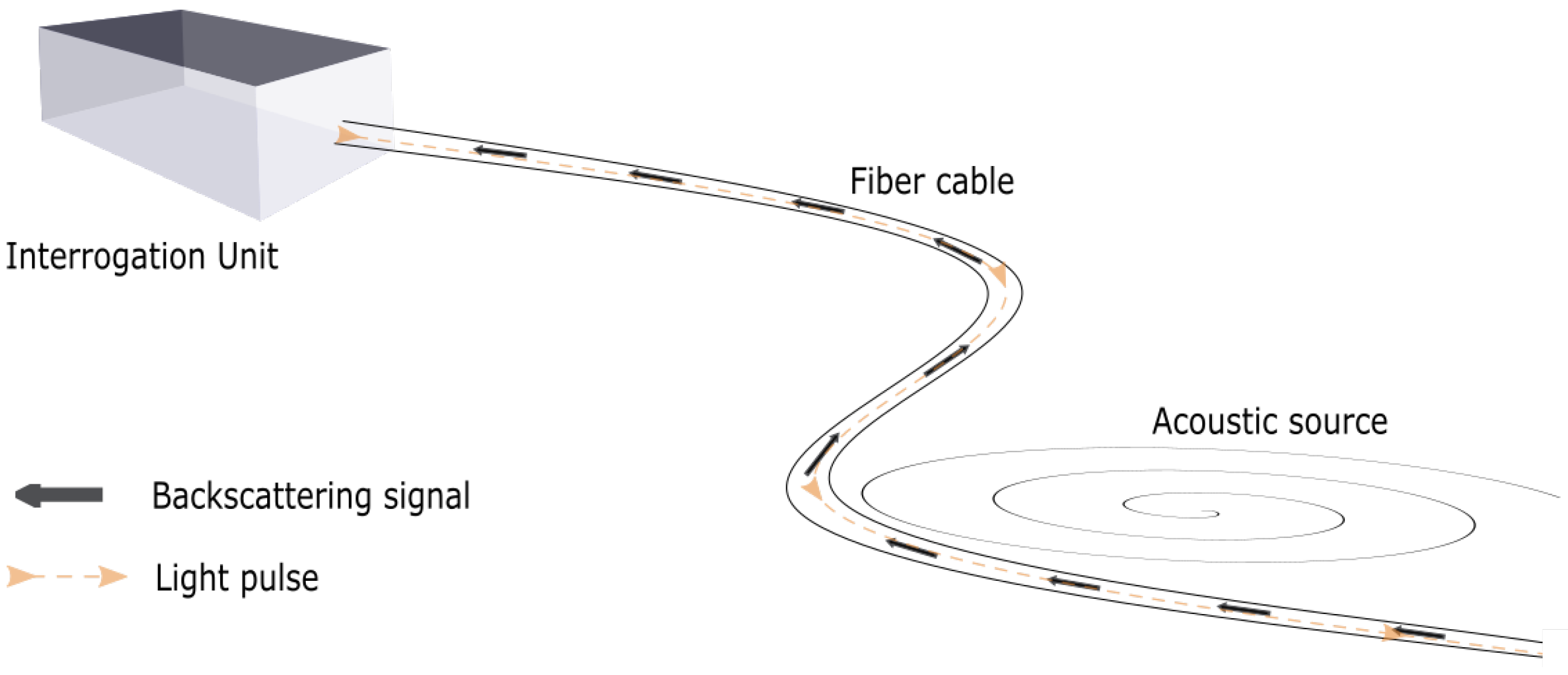 Sensors 21 02801 g001