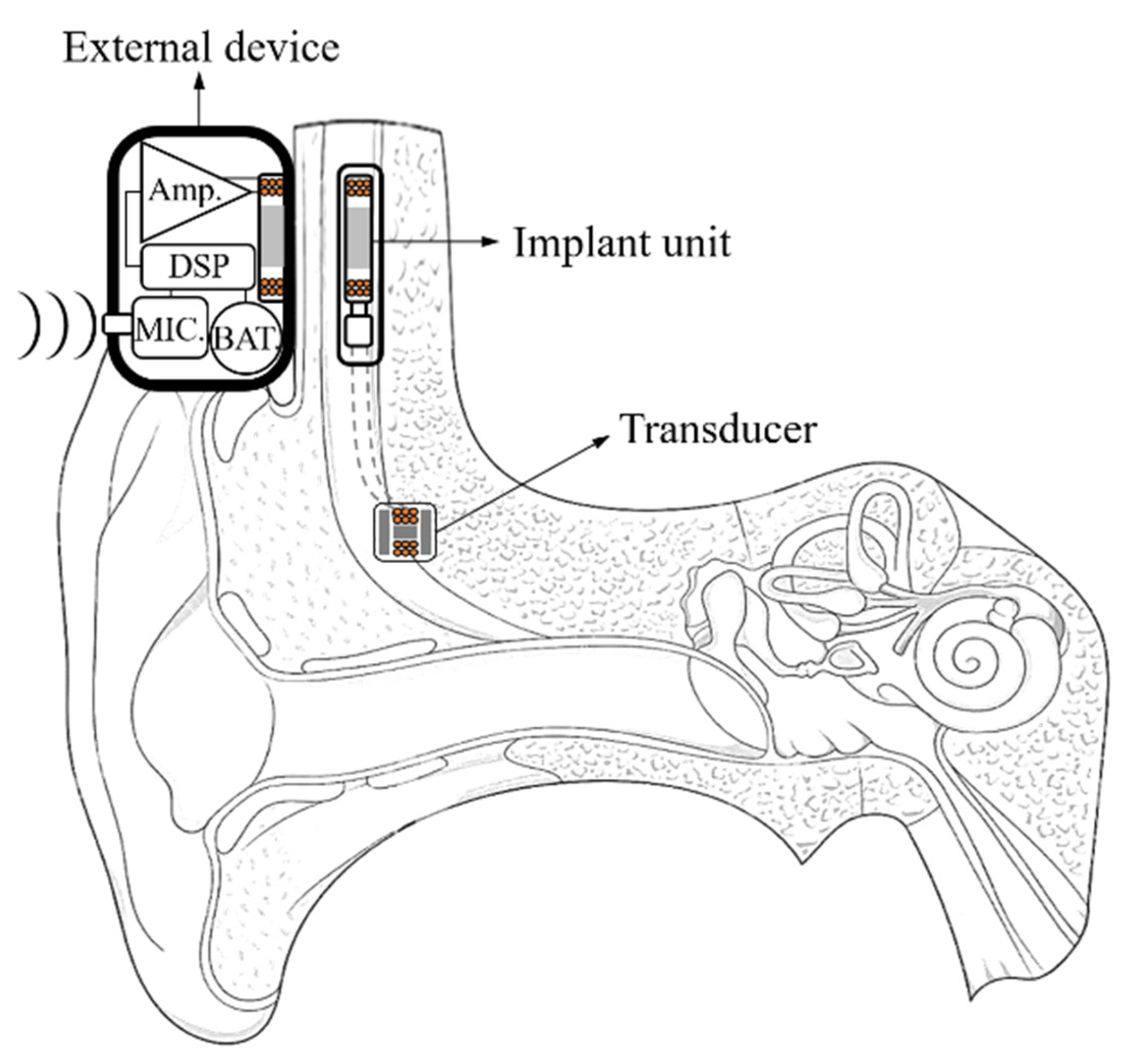 Sensors 21 02809 g001