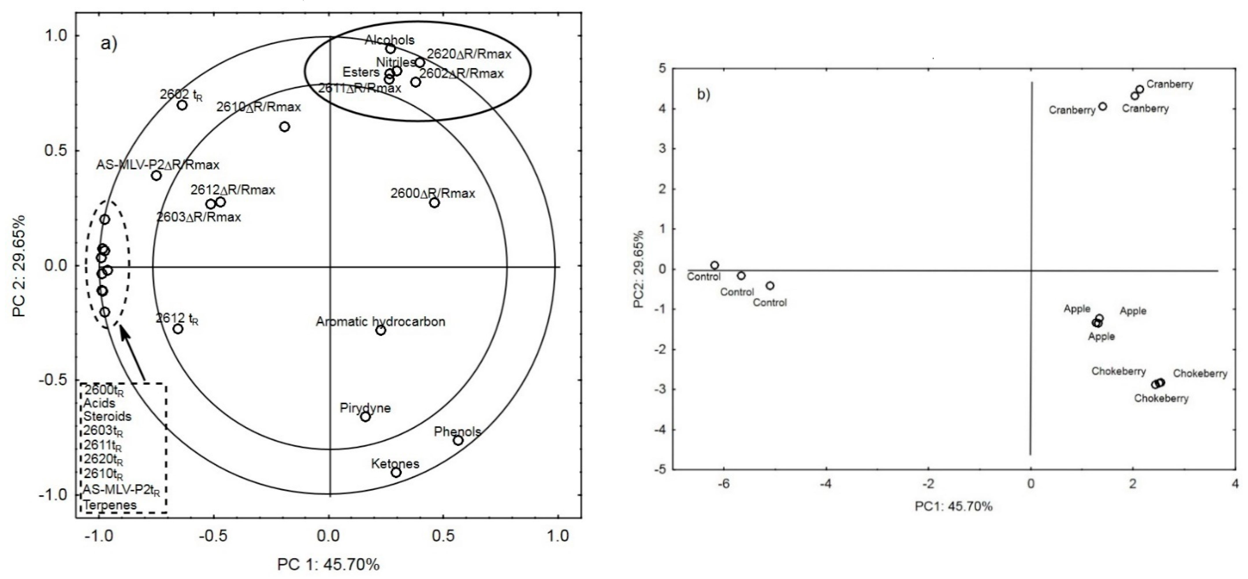 Sensors 21 02812 g001