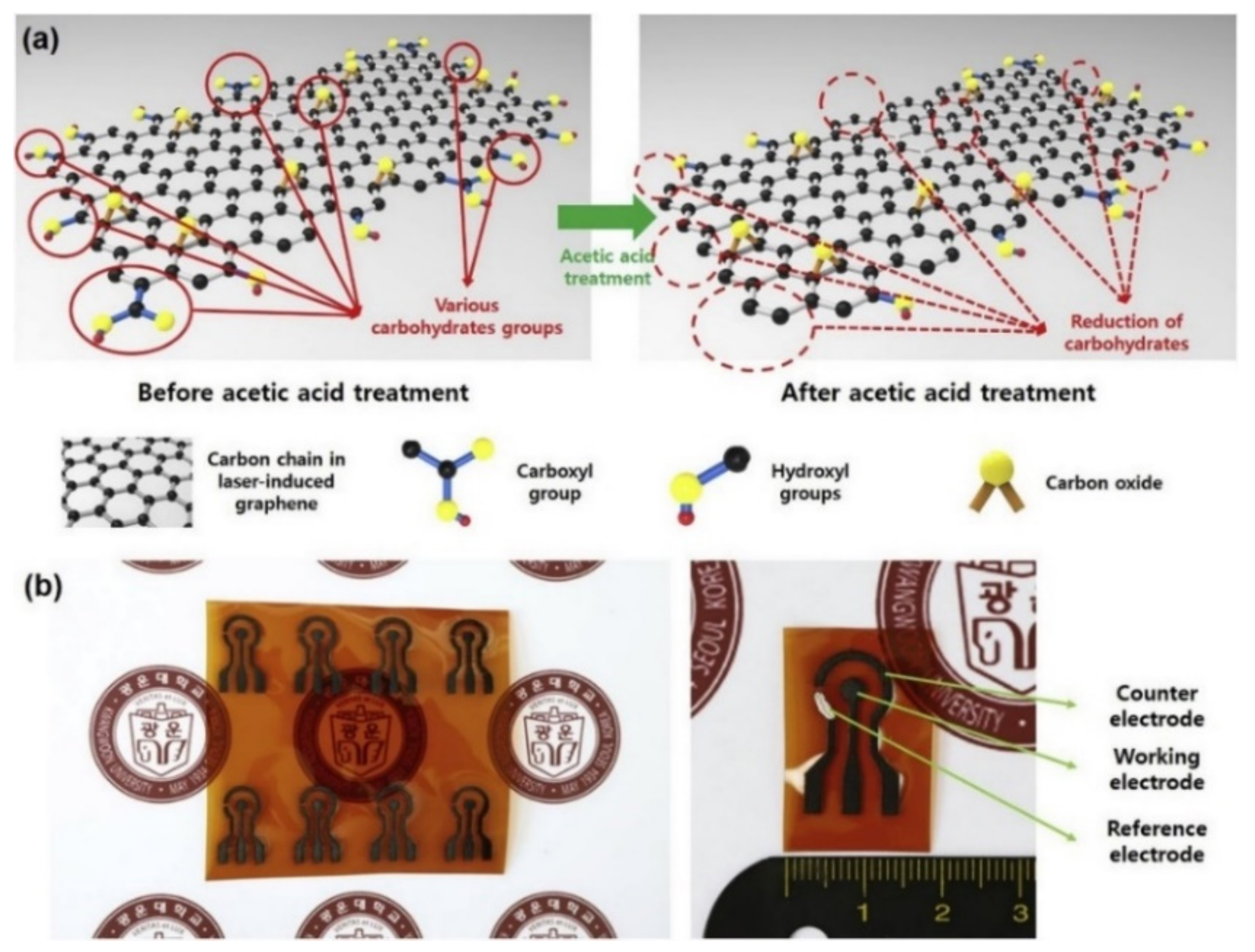 Sensors 21 02818 g006 Sensors 21 02818 g006