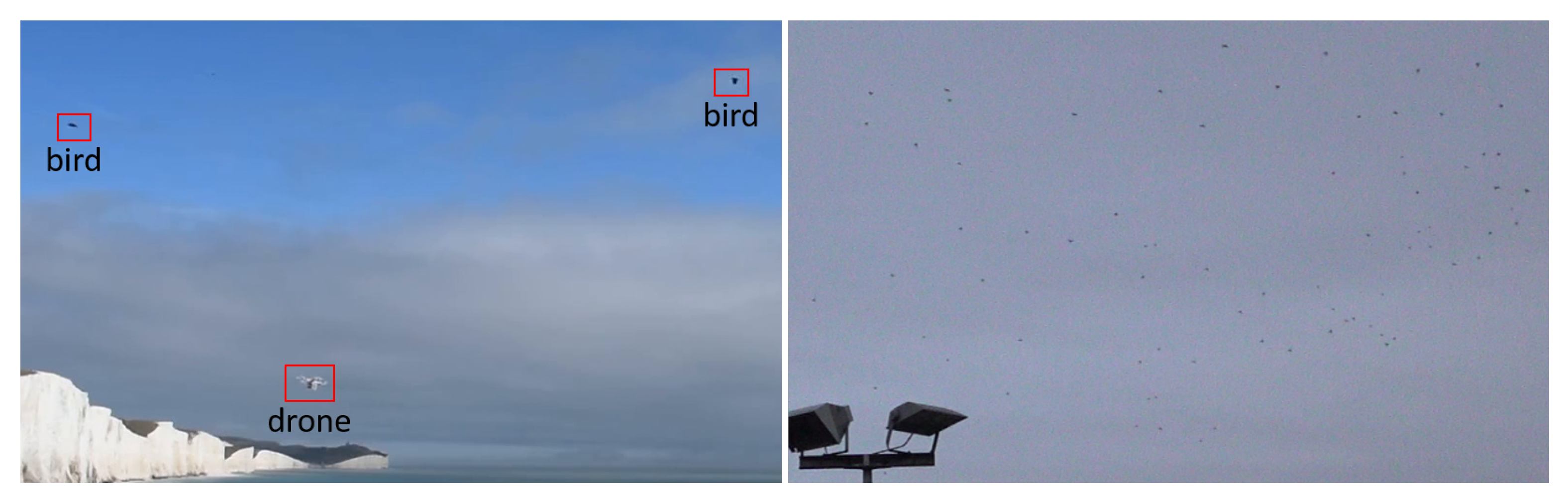 Sensors 21 02824 g004