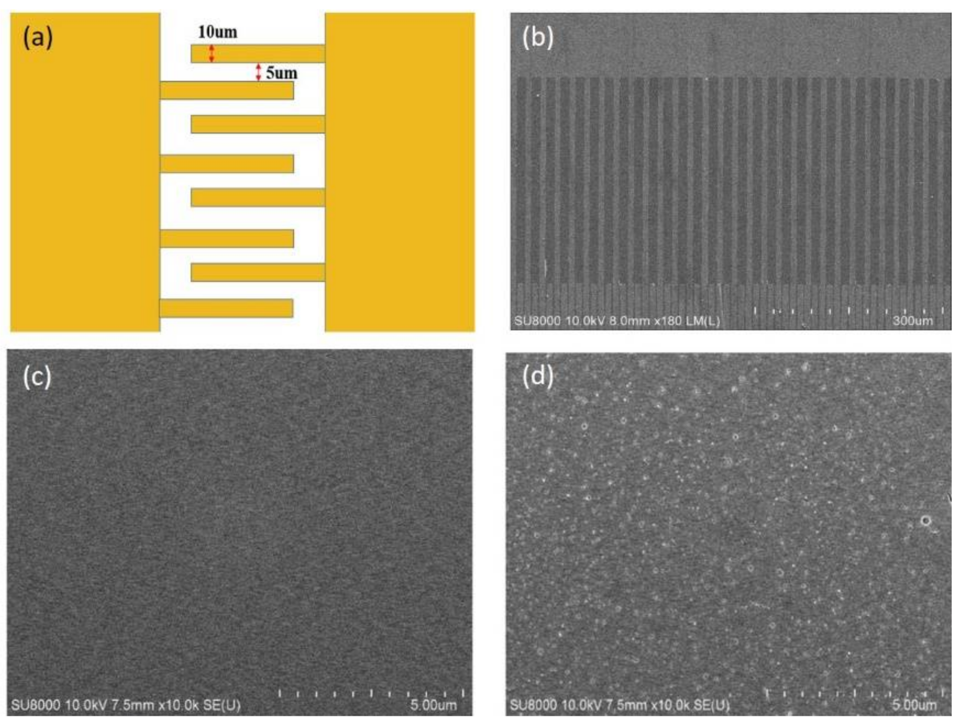 Sensors 21 02825 g002