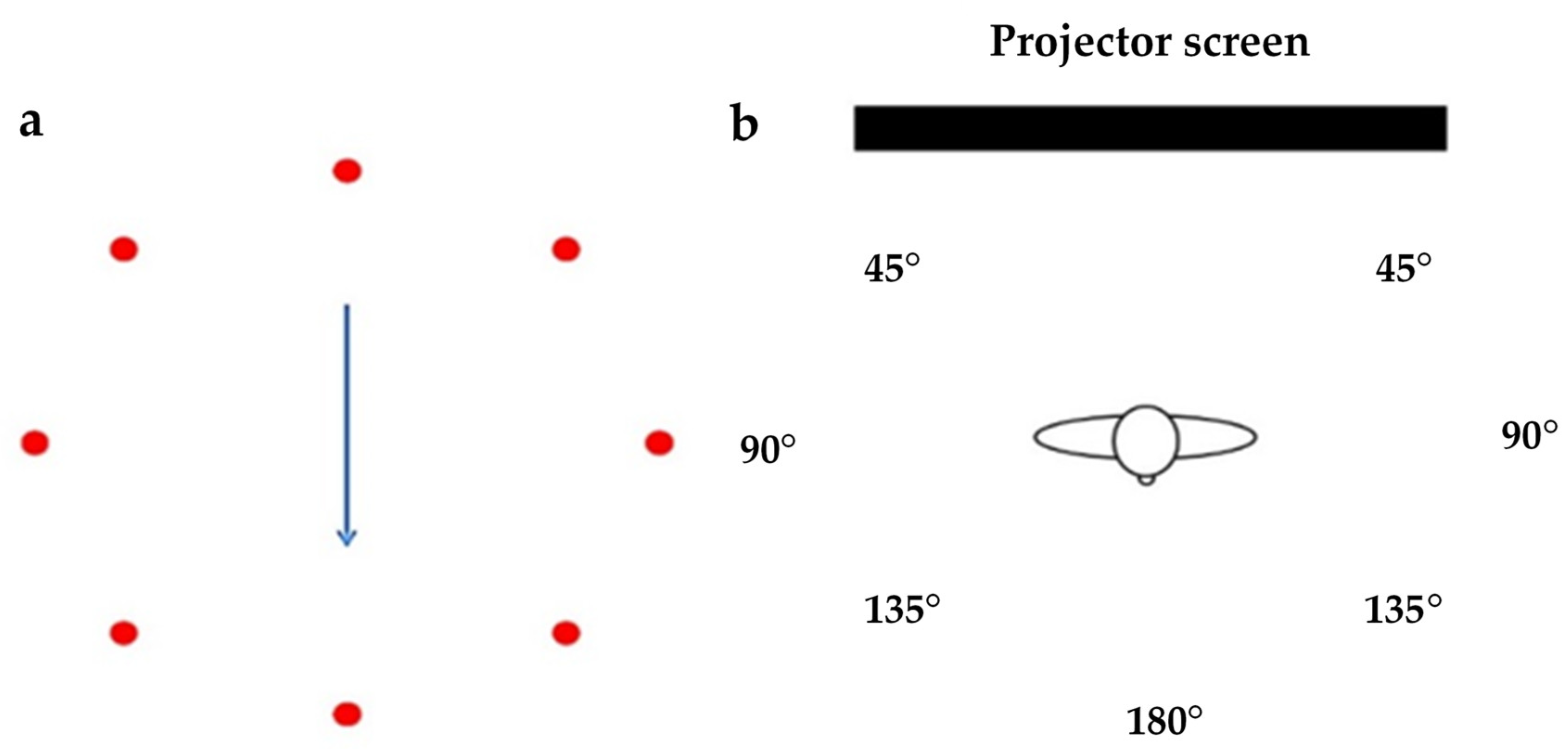 Sensors 21 02827 g002