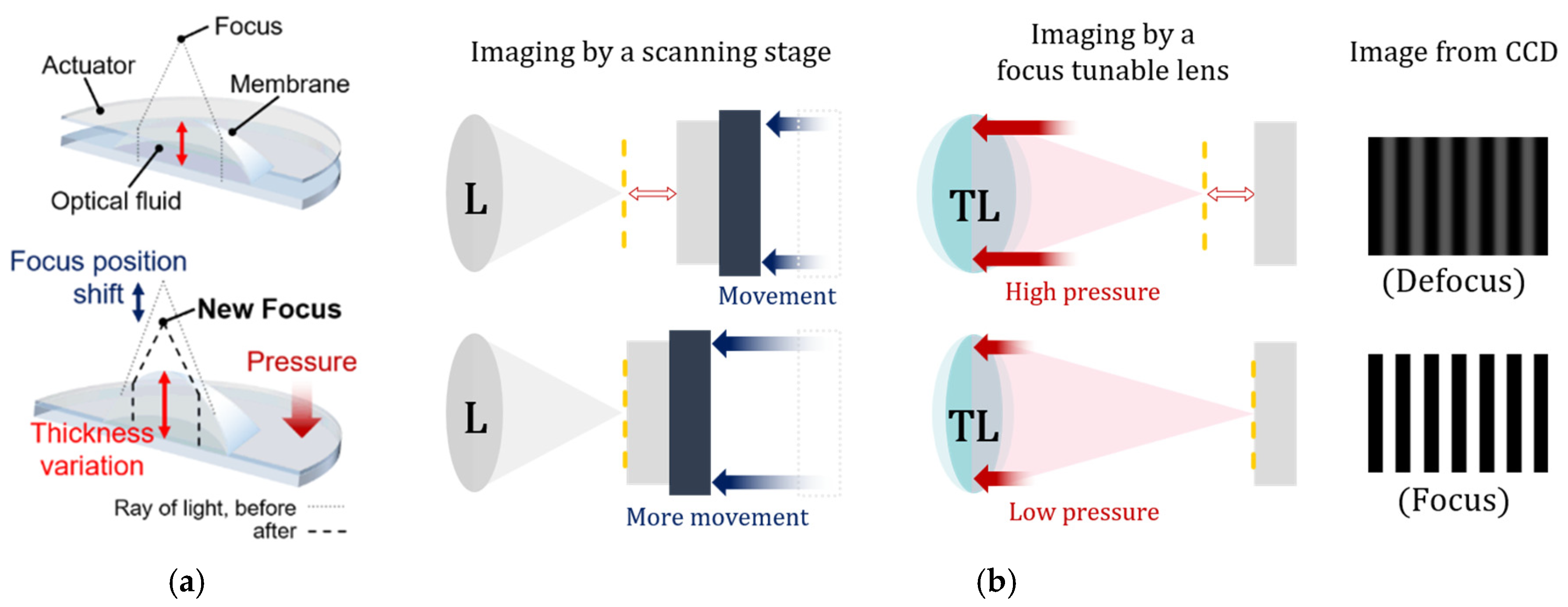 Sensors 21 02837 g005