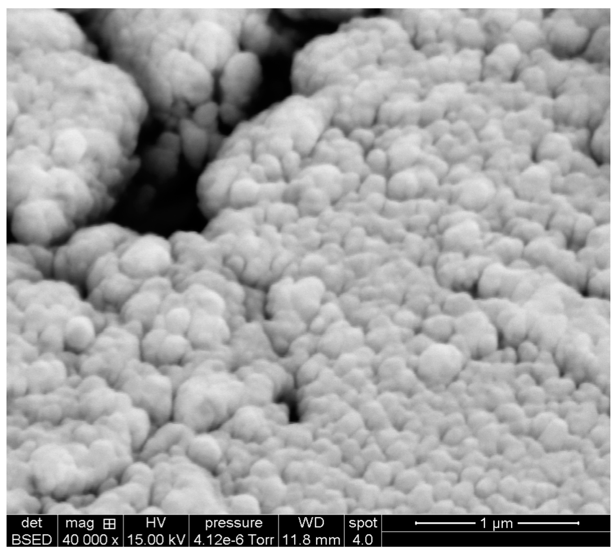 Sensors 21 02850 g002 Sensors 21 02850 g002