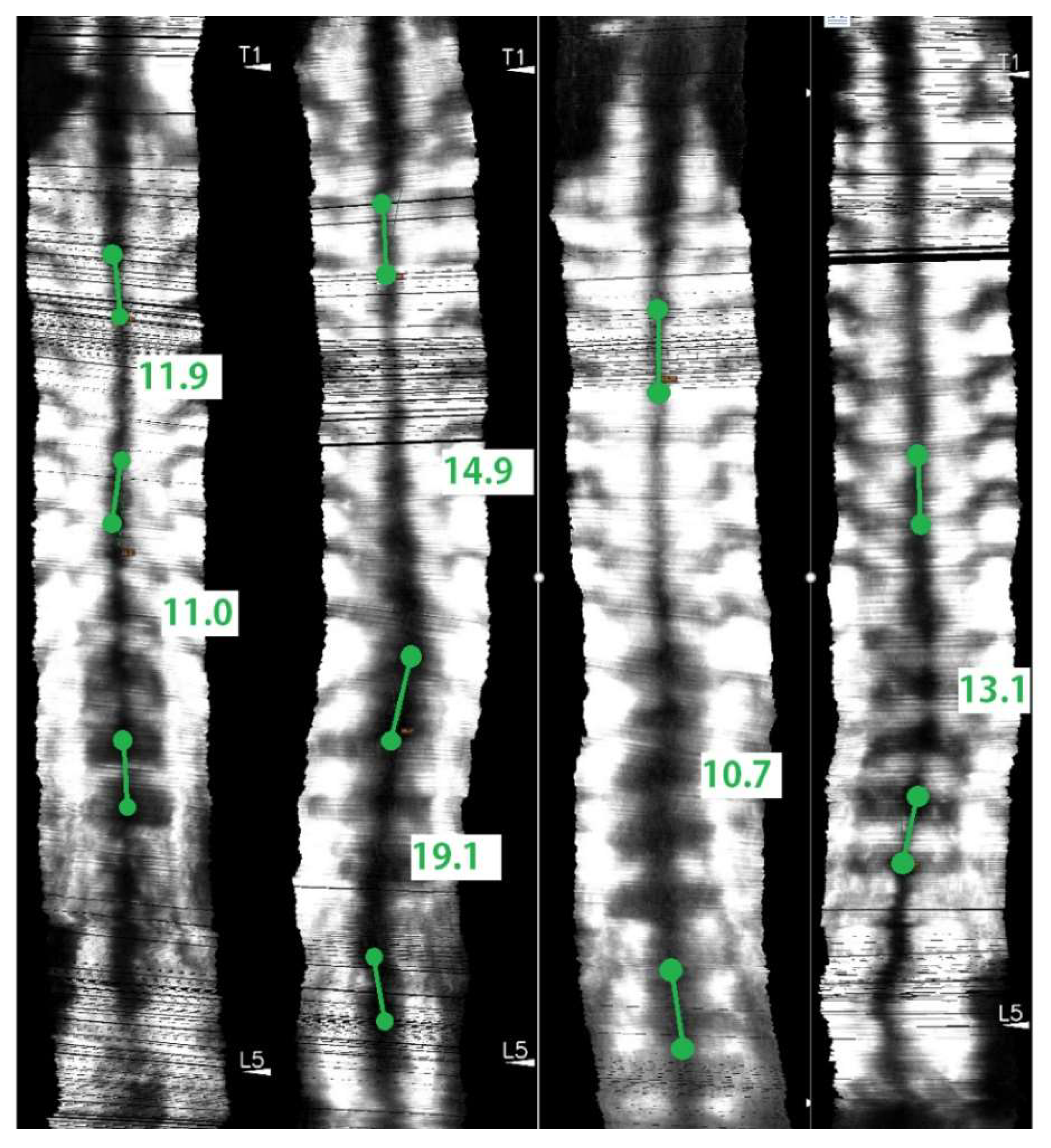 Sensors 21 02858 g006 Sensors 21 02858 g006
