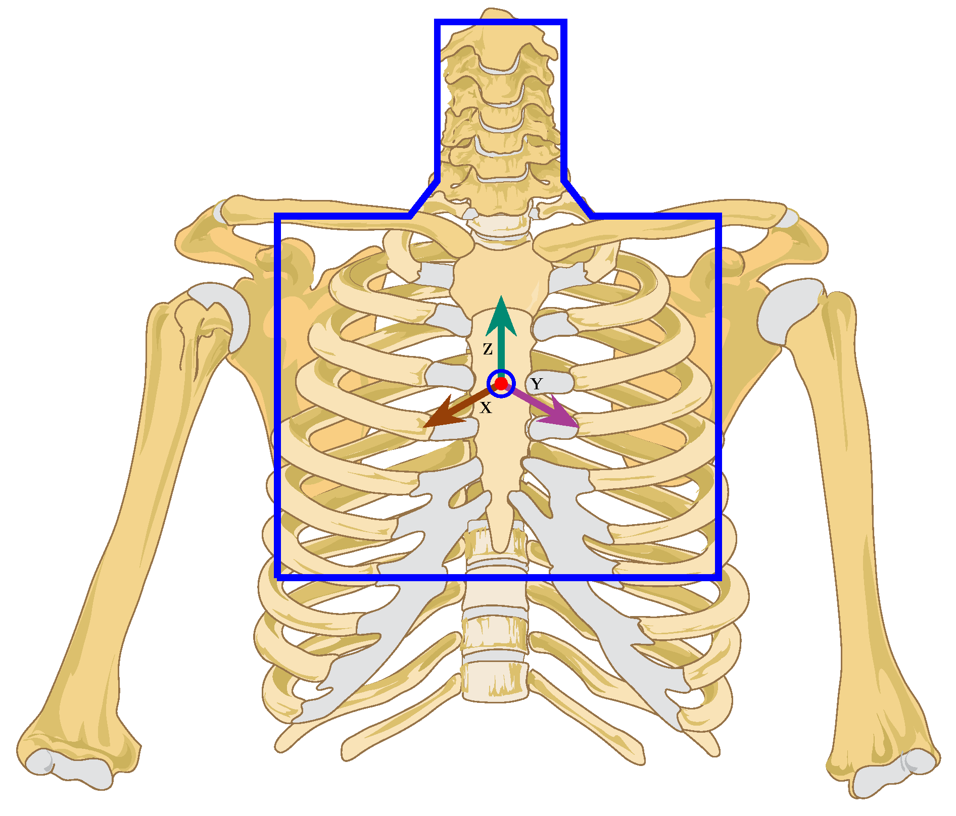 Sensors 21 02875 g001