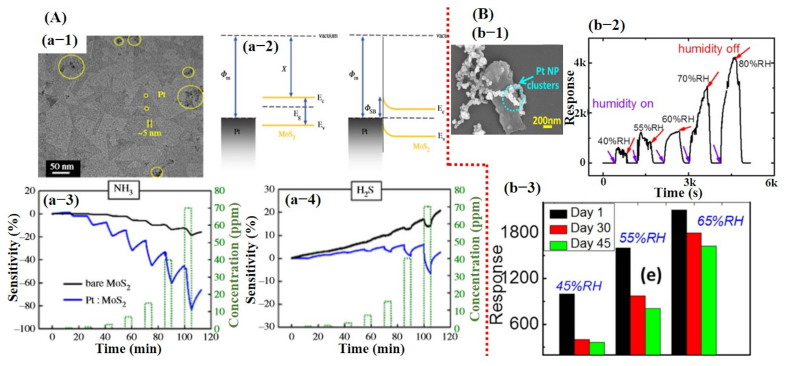 Sensors 21 02877 g007