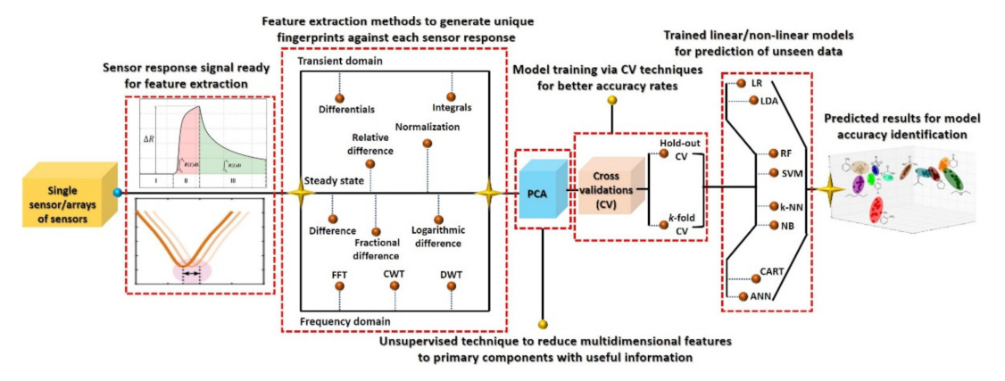 Sensors 21 02877 g010