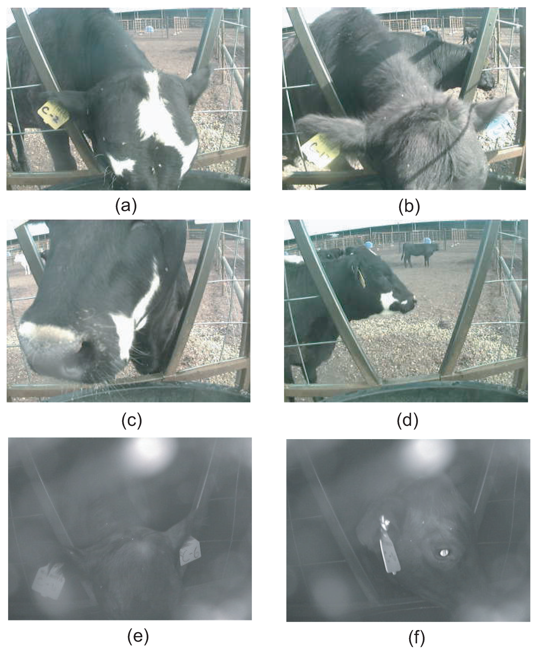 Sensors 21 02885 g016 Sensors 21 02885 g016