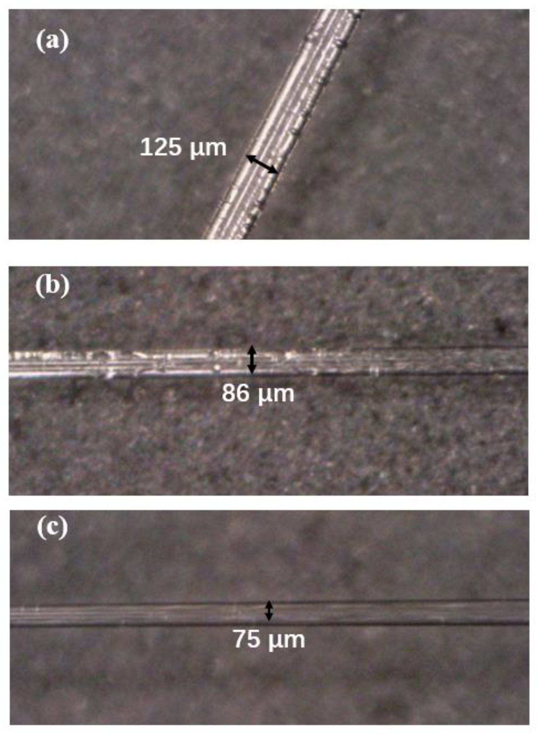 Sensors 21 02892 g002