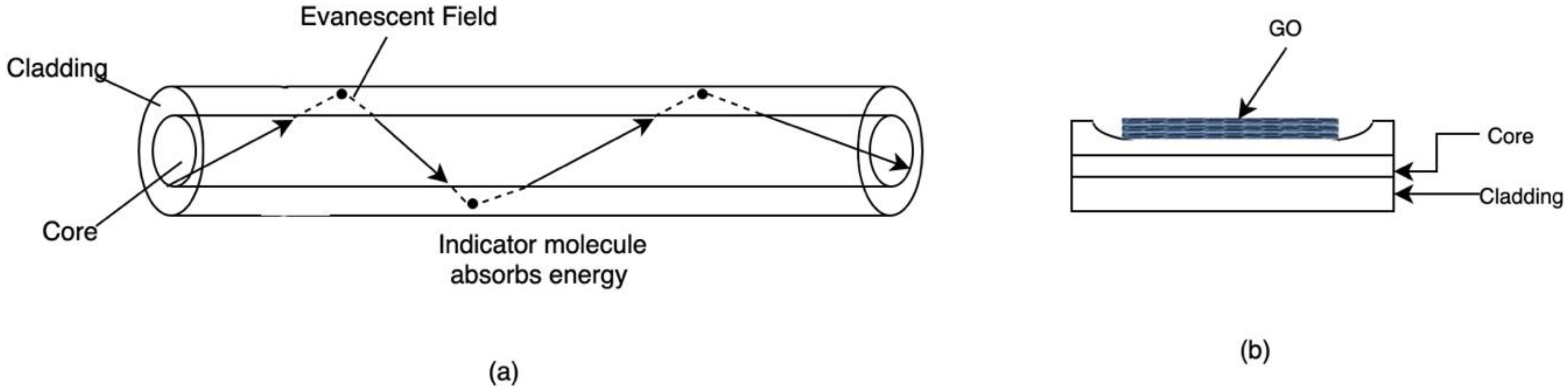 Sensors 21 02908 g003 Sensors 21 02908 g003