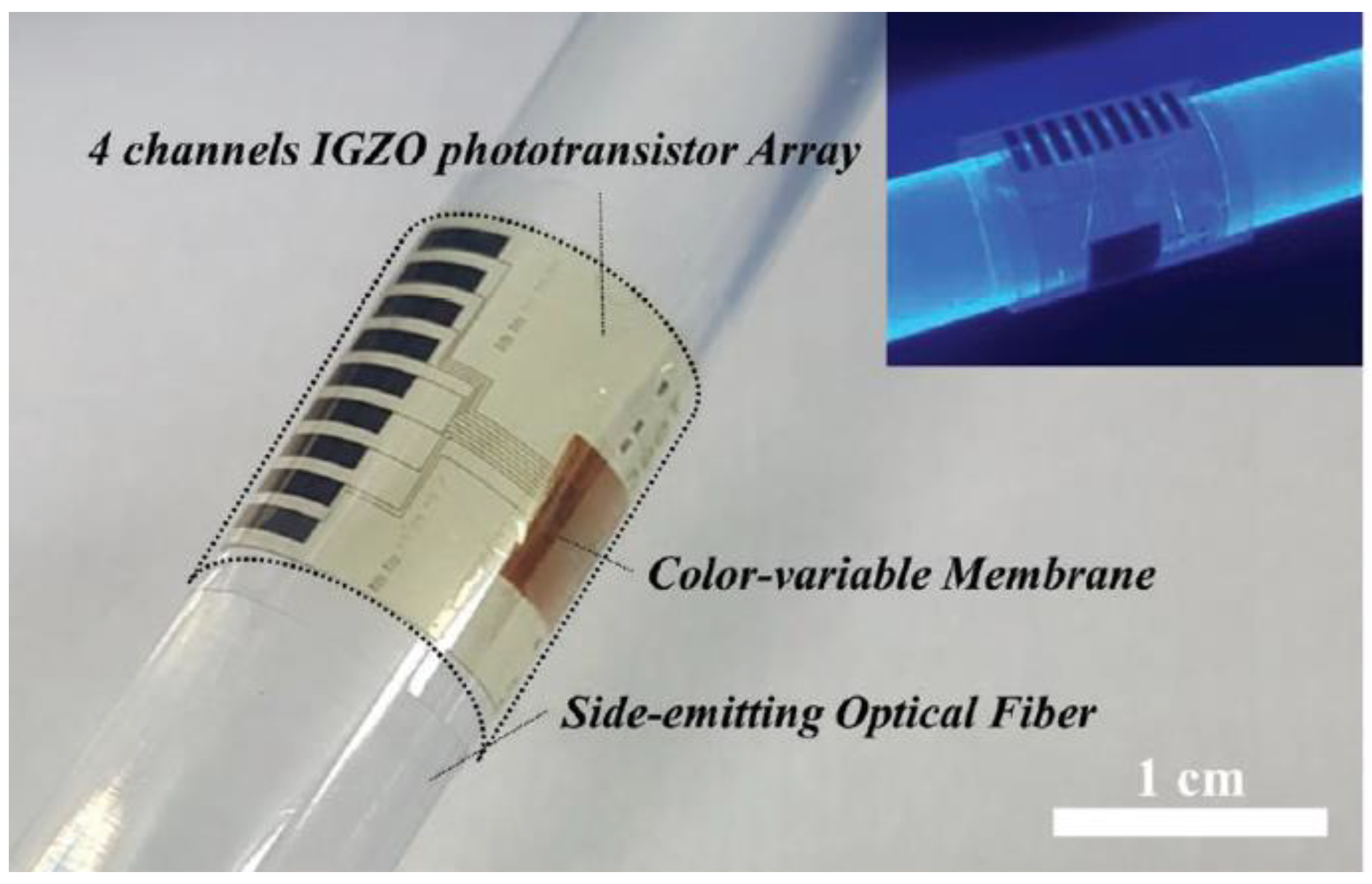 Sensors 21 02908 g005 Sensors 21 02908 g005