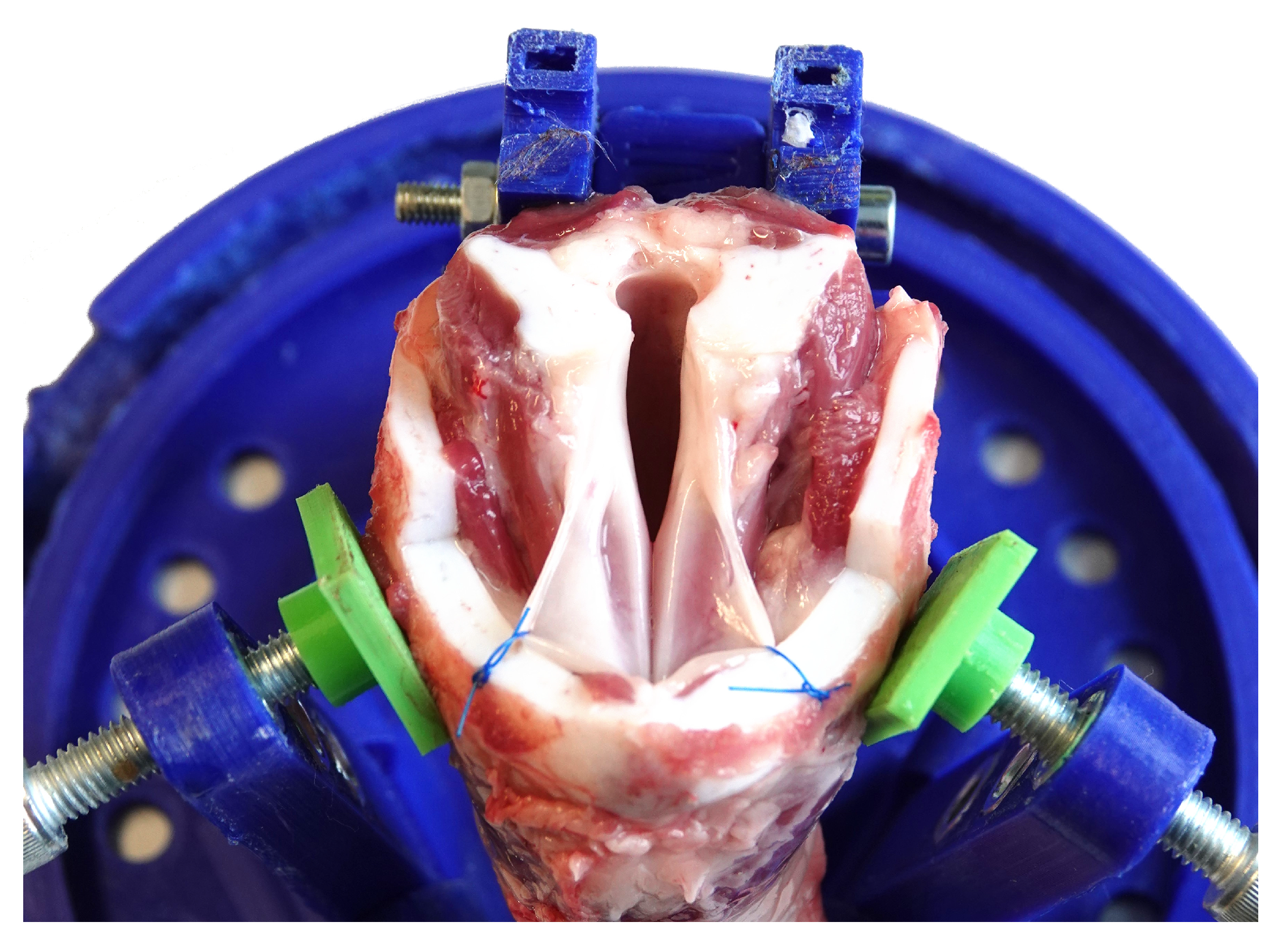 Sensors 21 02923 g002