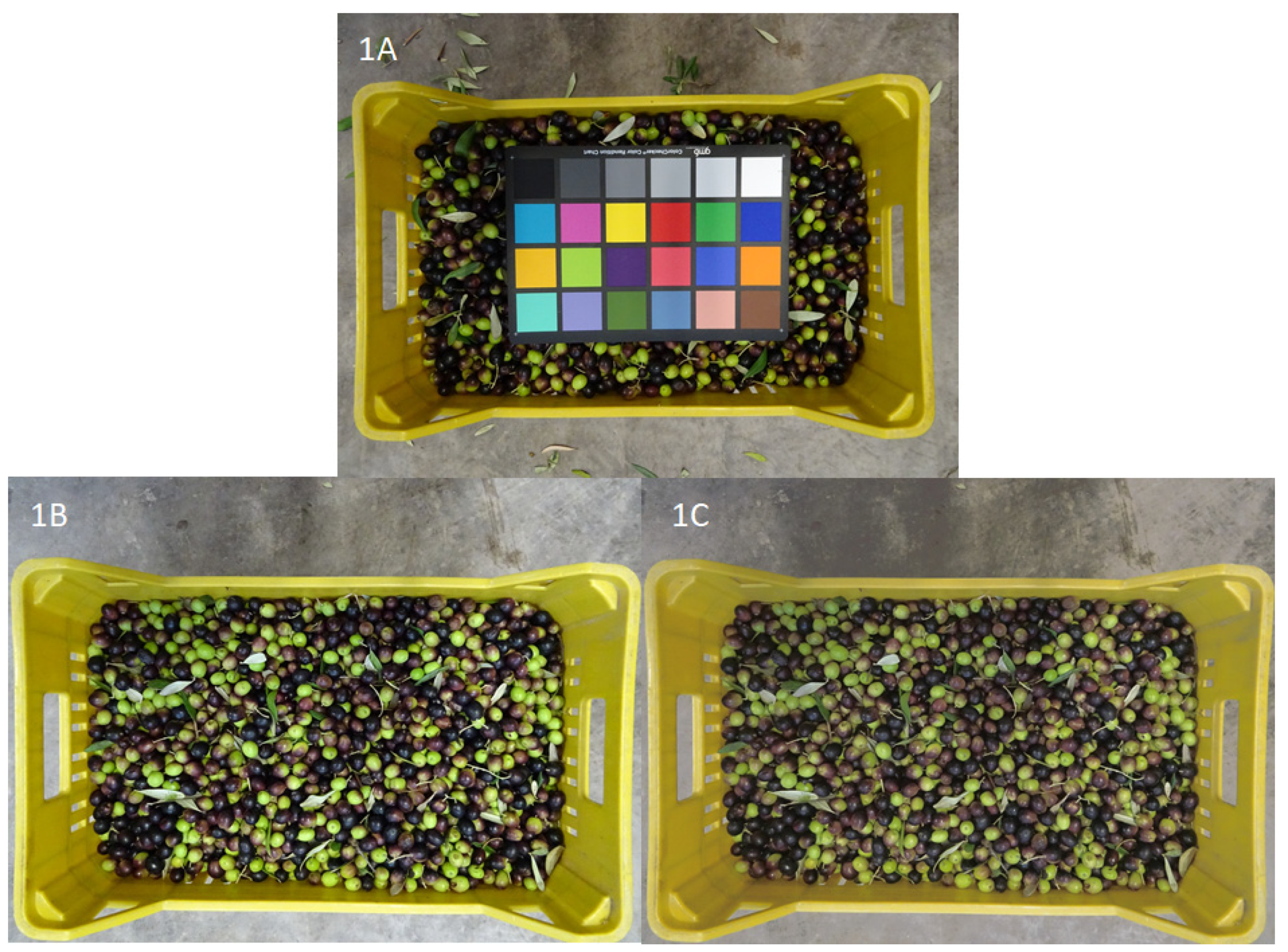 Sensors 21 02940 g001 Sensors 21 02940 g001