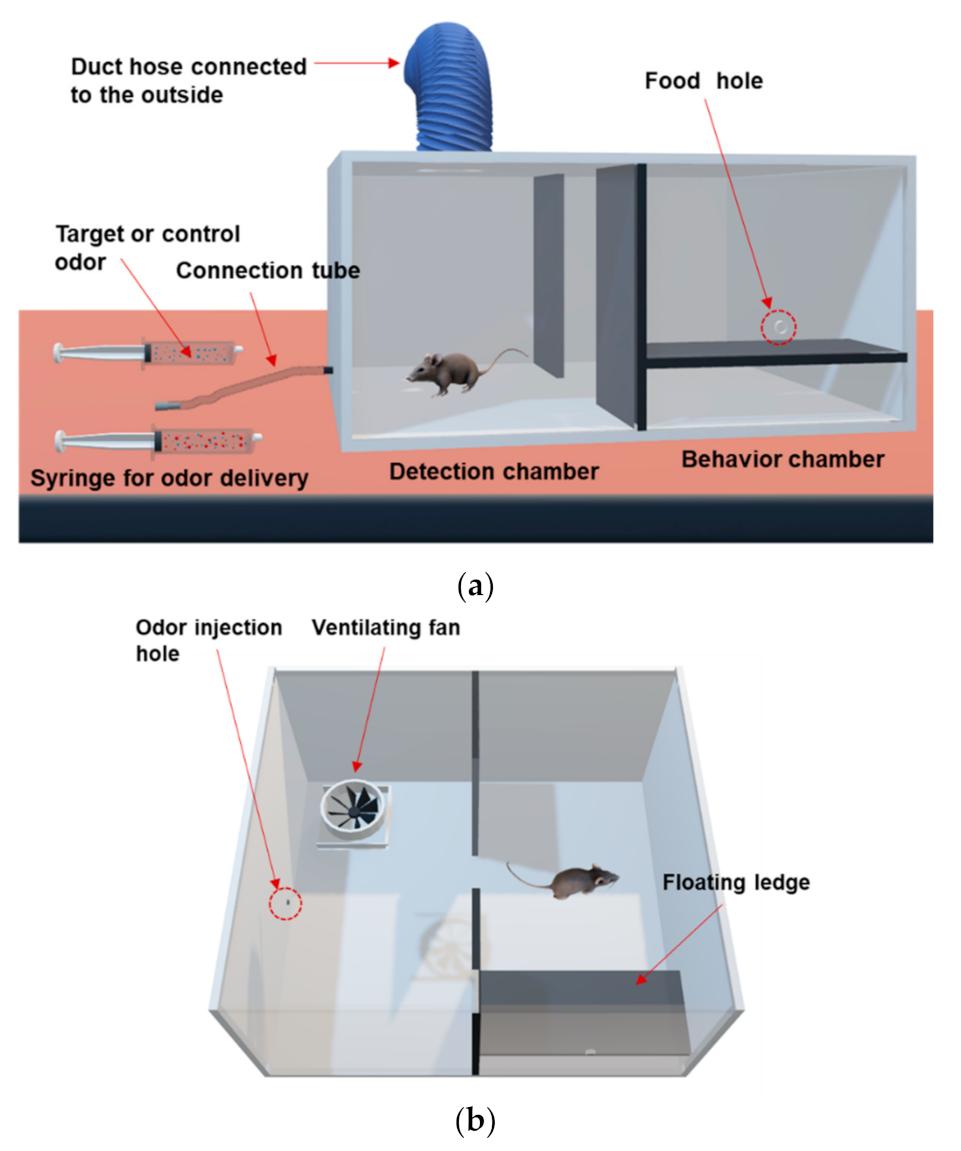 Sensors 21 02967 g002