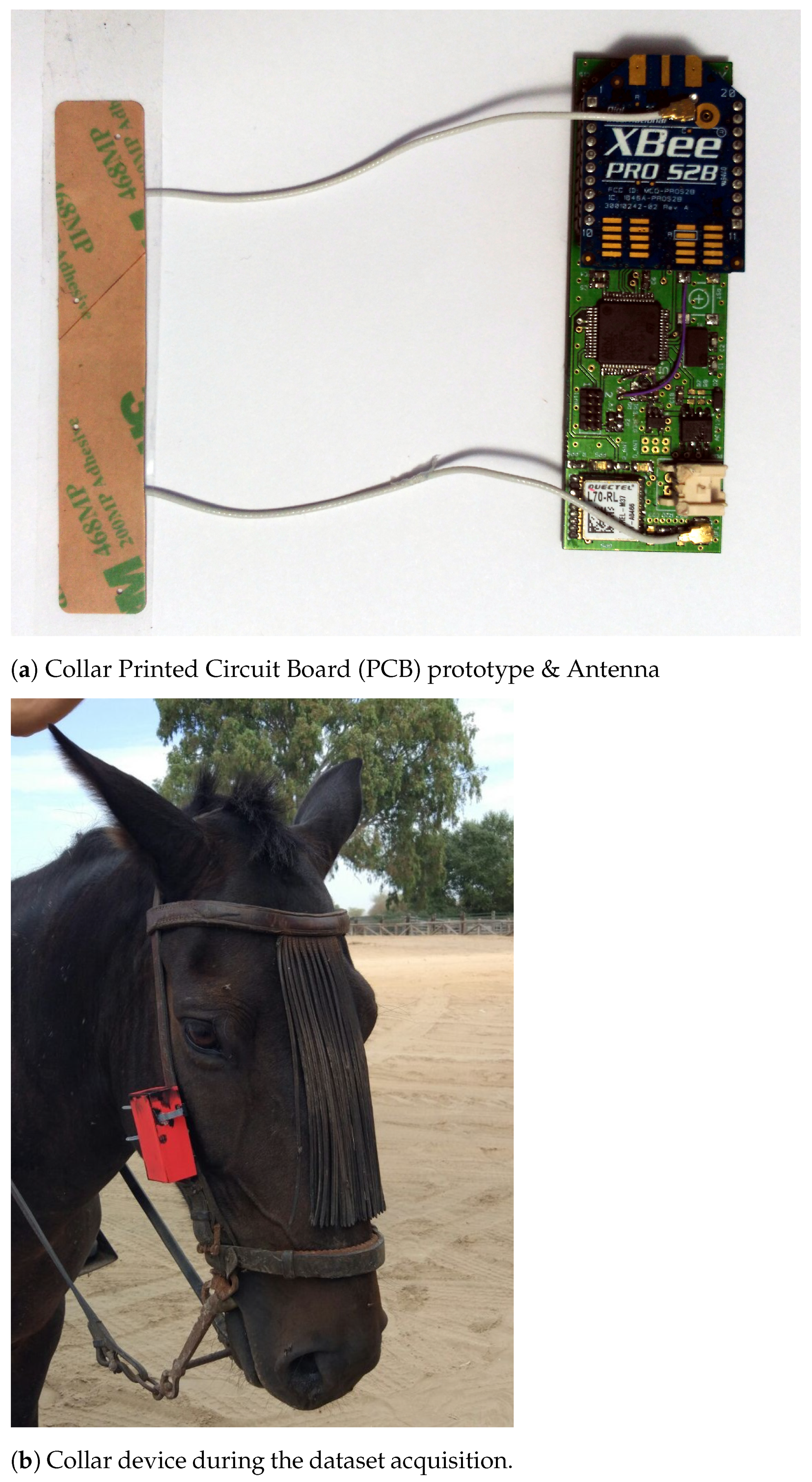 Sensors 21 02975 g001