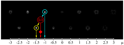 Sensors 21 02988 i003