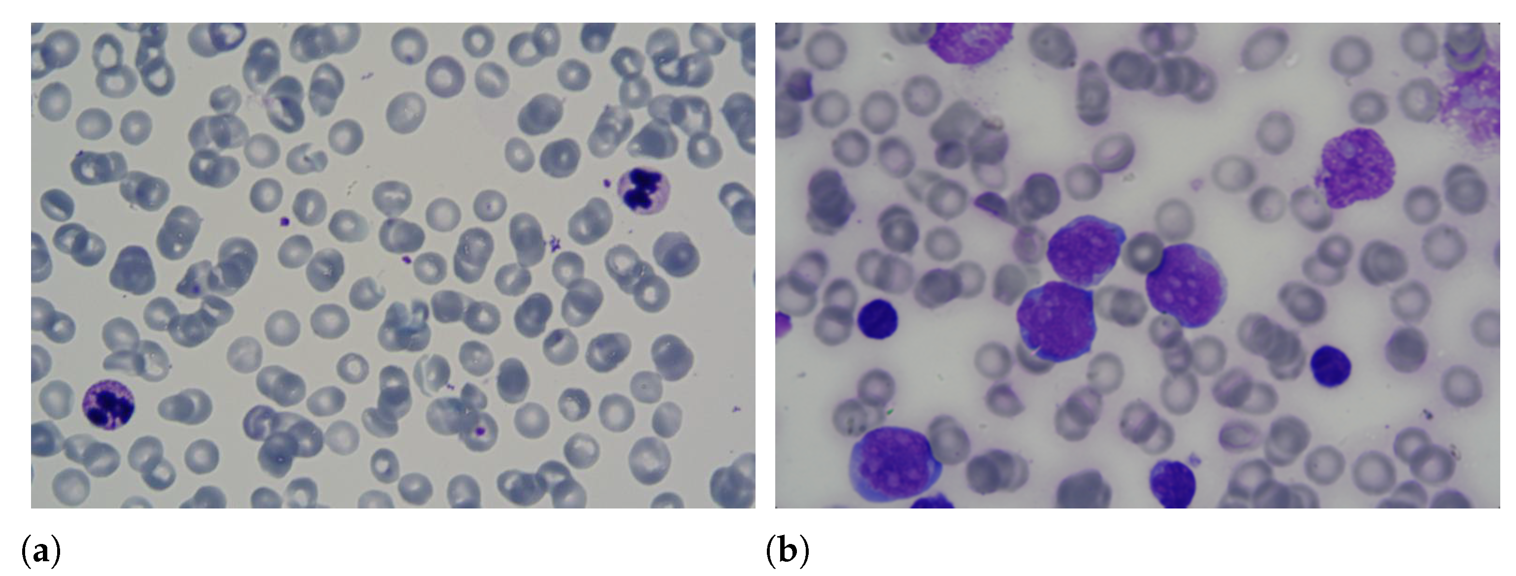 Sensors 21 02989 g001