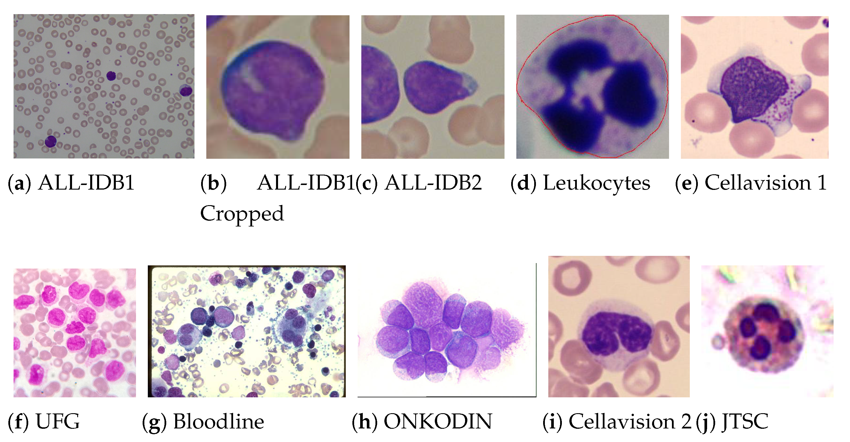 Sensors 21 02989 g002