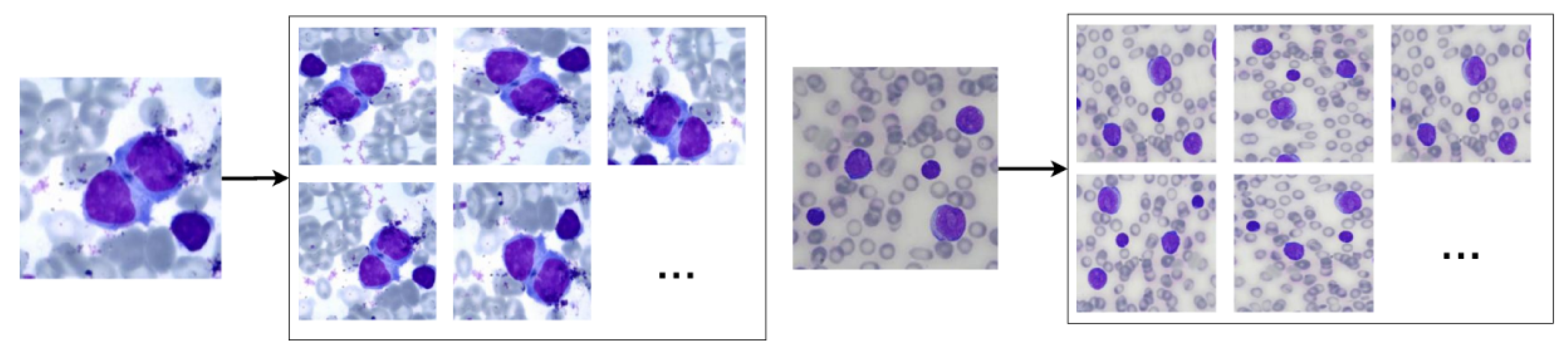 Sensors 21 02989 g003