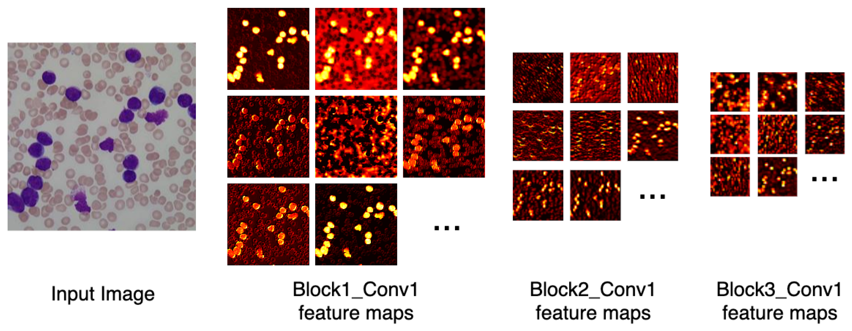 Sensors 21 02989 g006