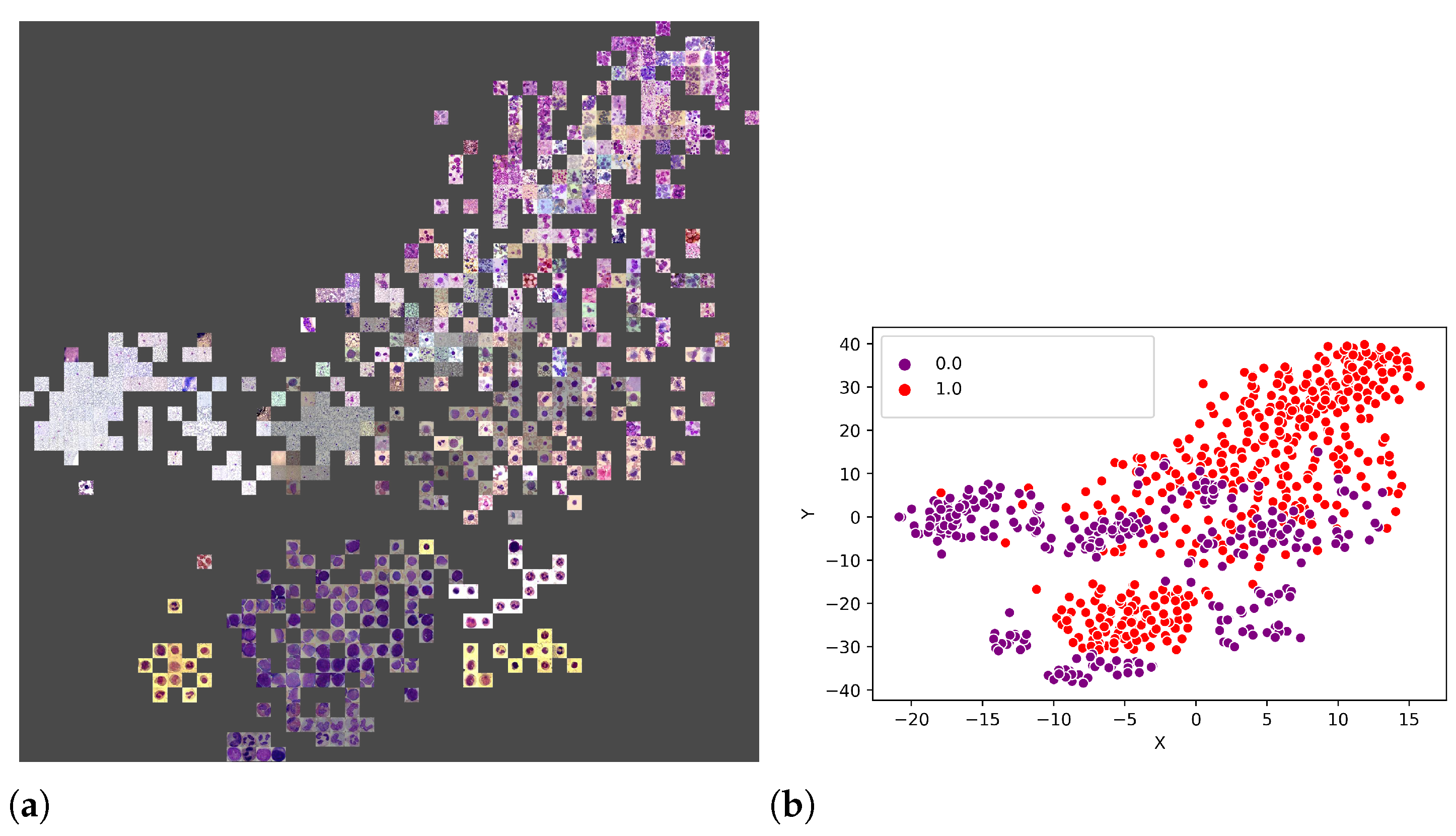 Sensors 21 02989 g012