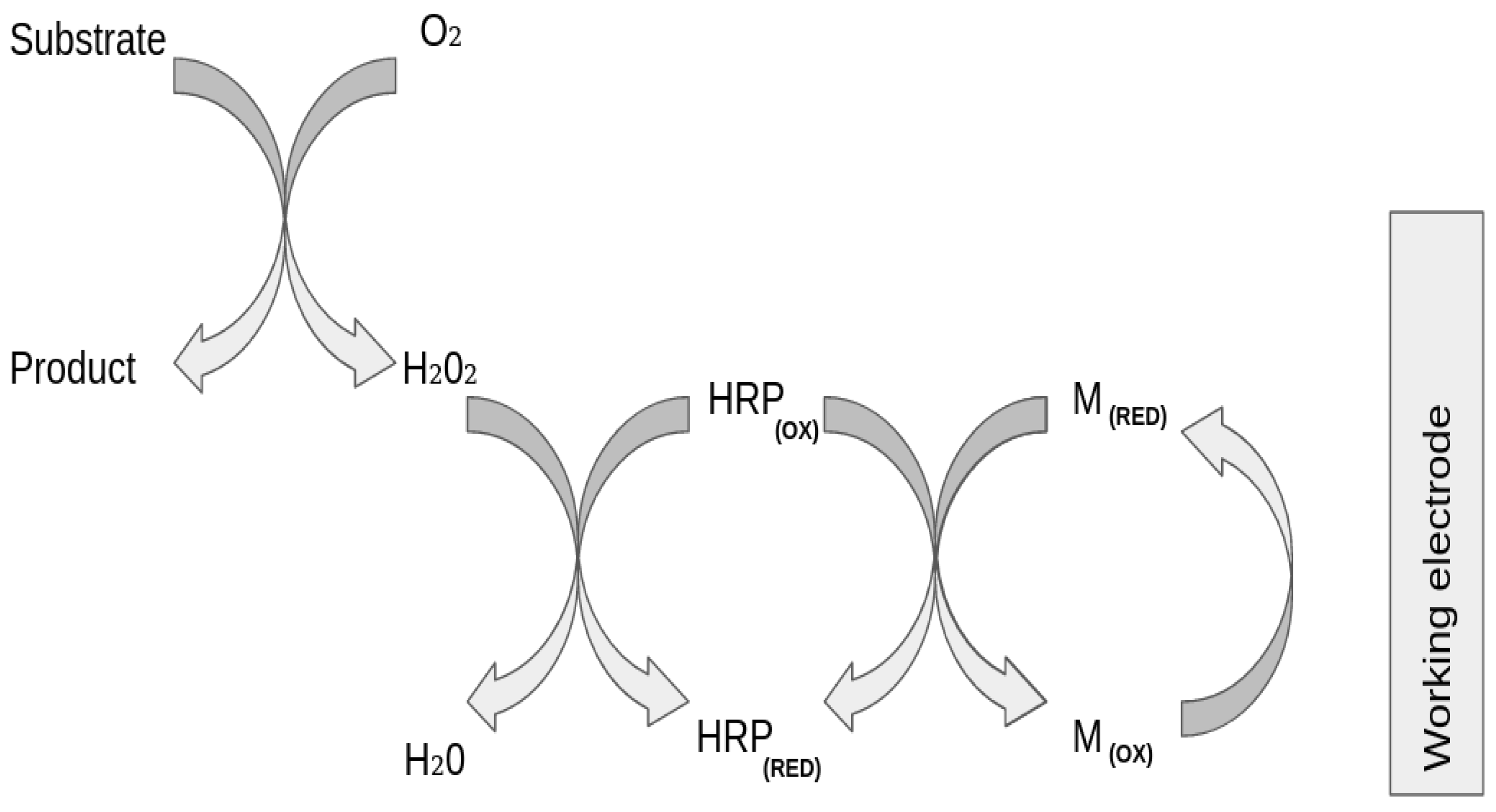 Sensors 21 02990 g002
