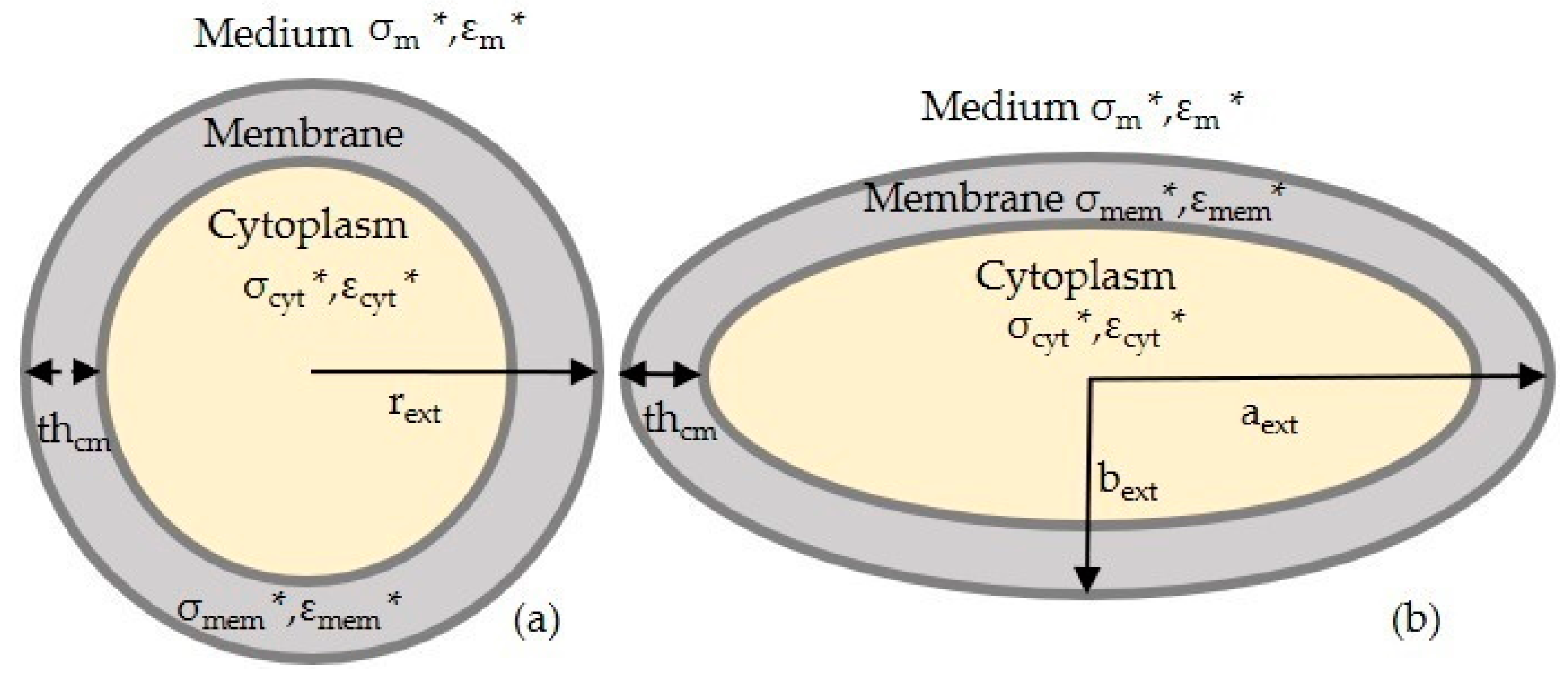 Sensors 21 03007 g001