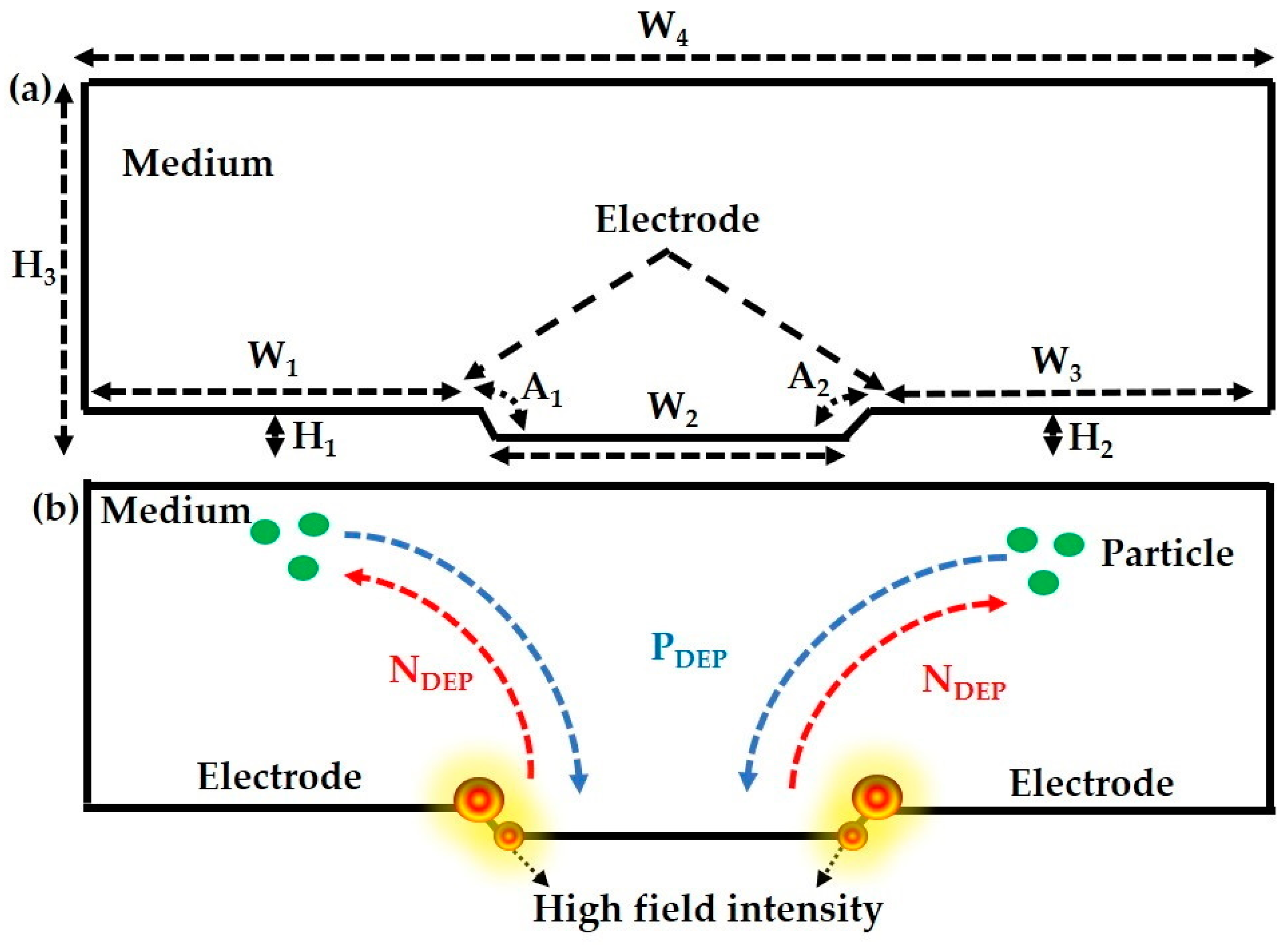Sensors 21 03007 g003