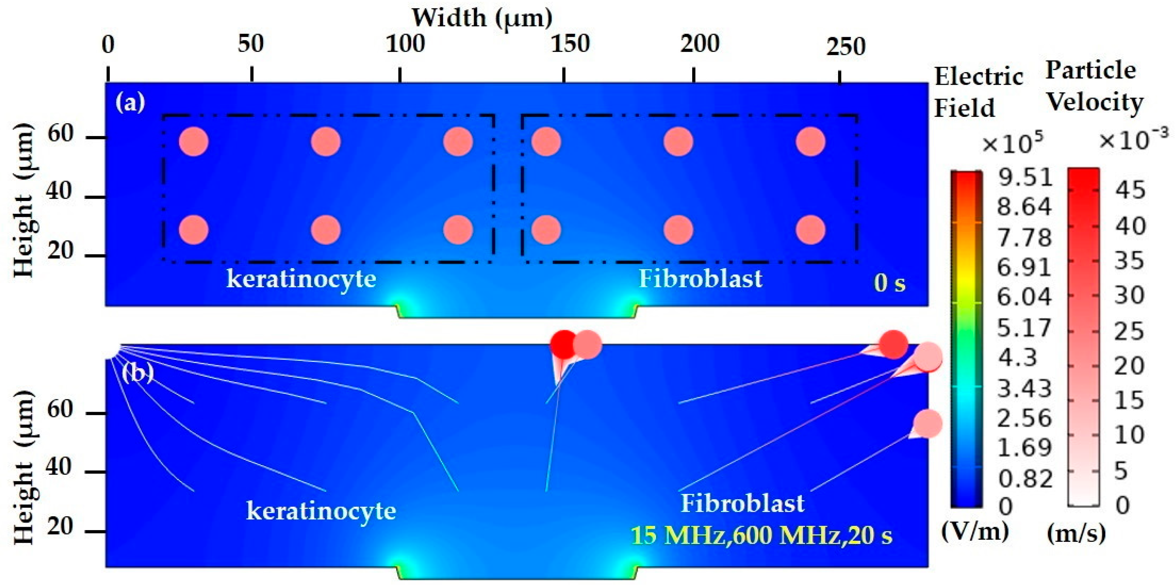 Sensors 21 03007 g012