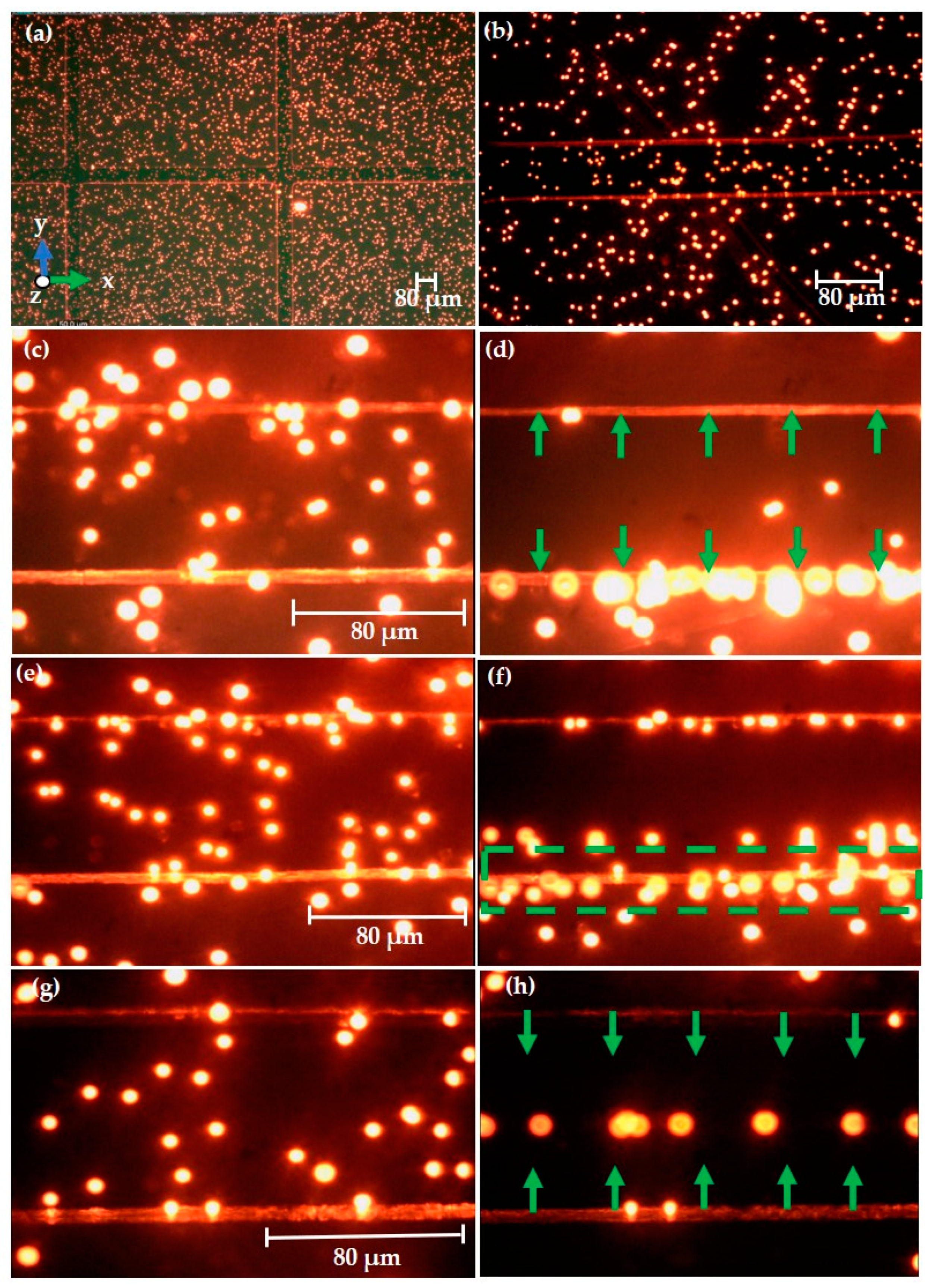 Sensors 21 03007 g013