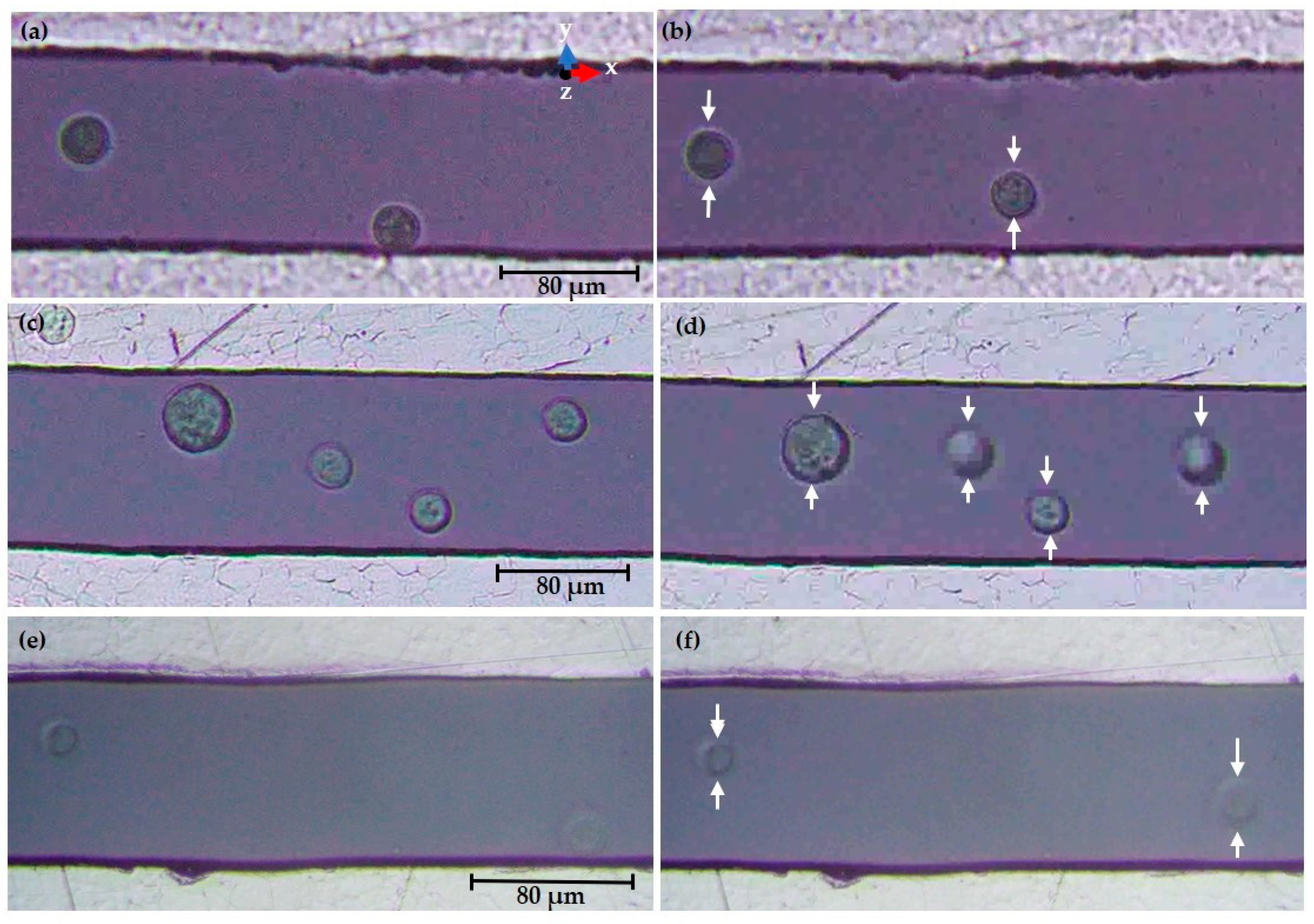 Sensors 21 03007 g014